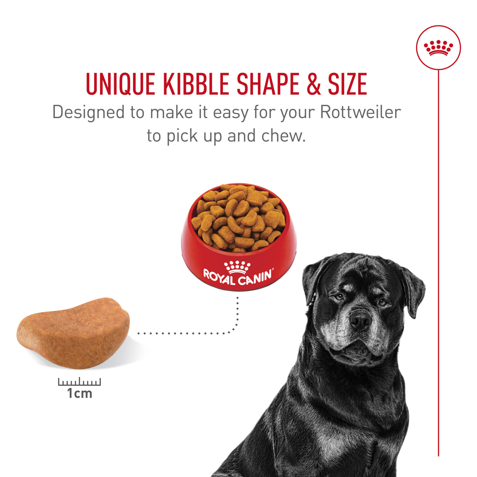 Royal Canin Breed Health Nutrition Rottweiler Adult Dry Dog Food