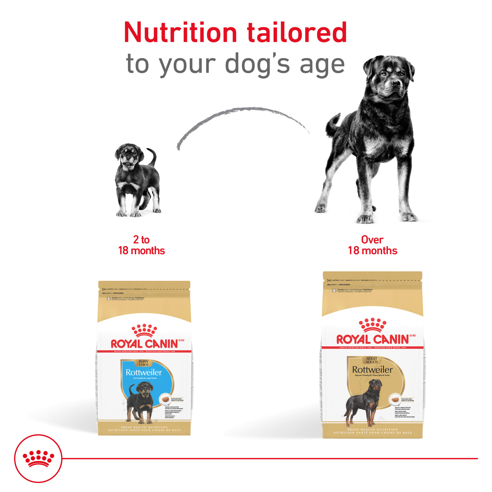Royal Canin Breed Health Nutrition Rottweiler Adult Dry Dog Food