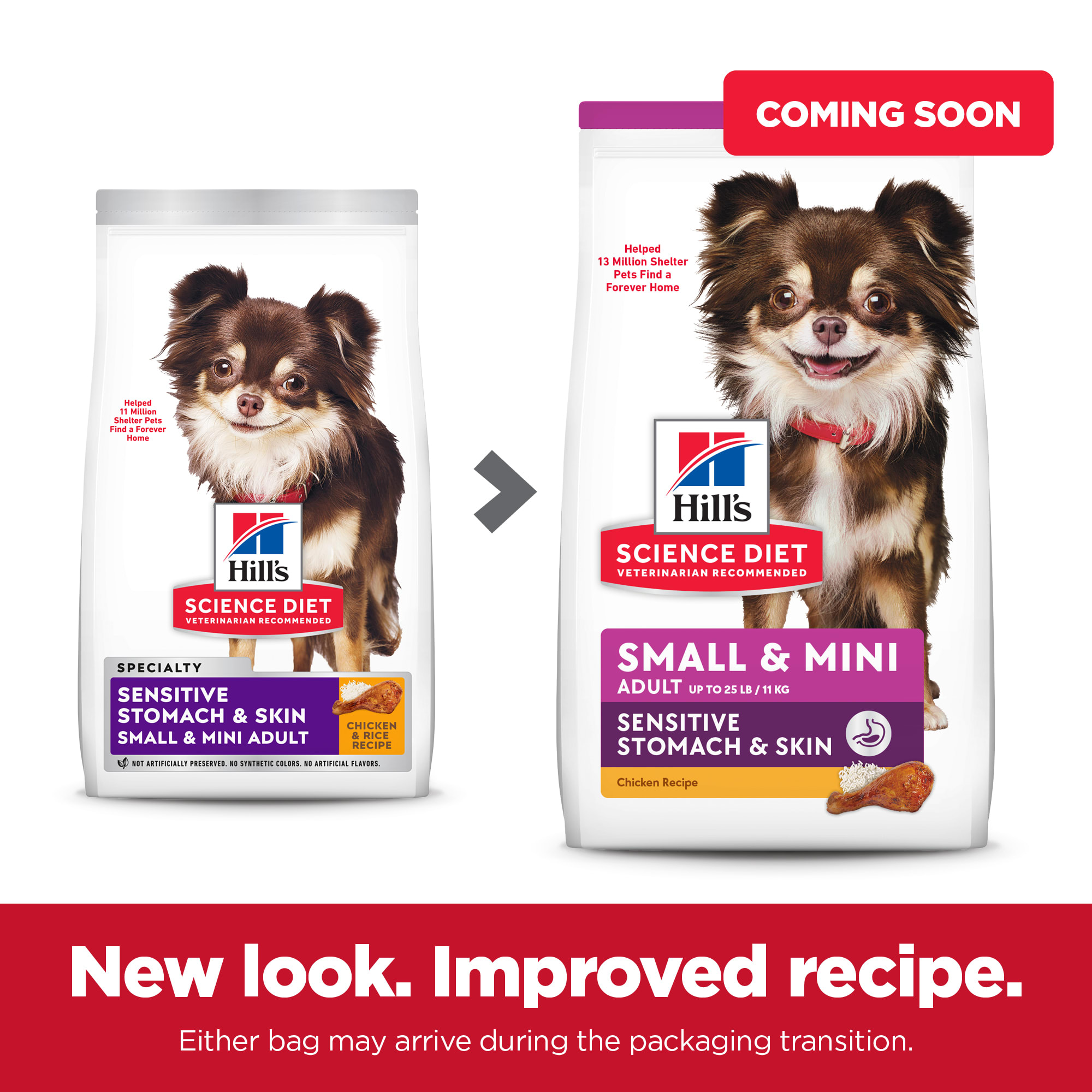 Hills small best sale dog food