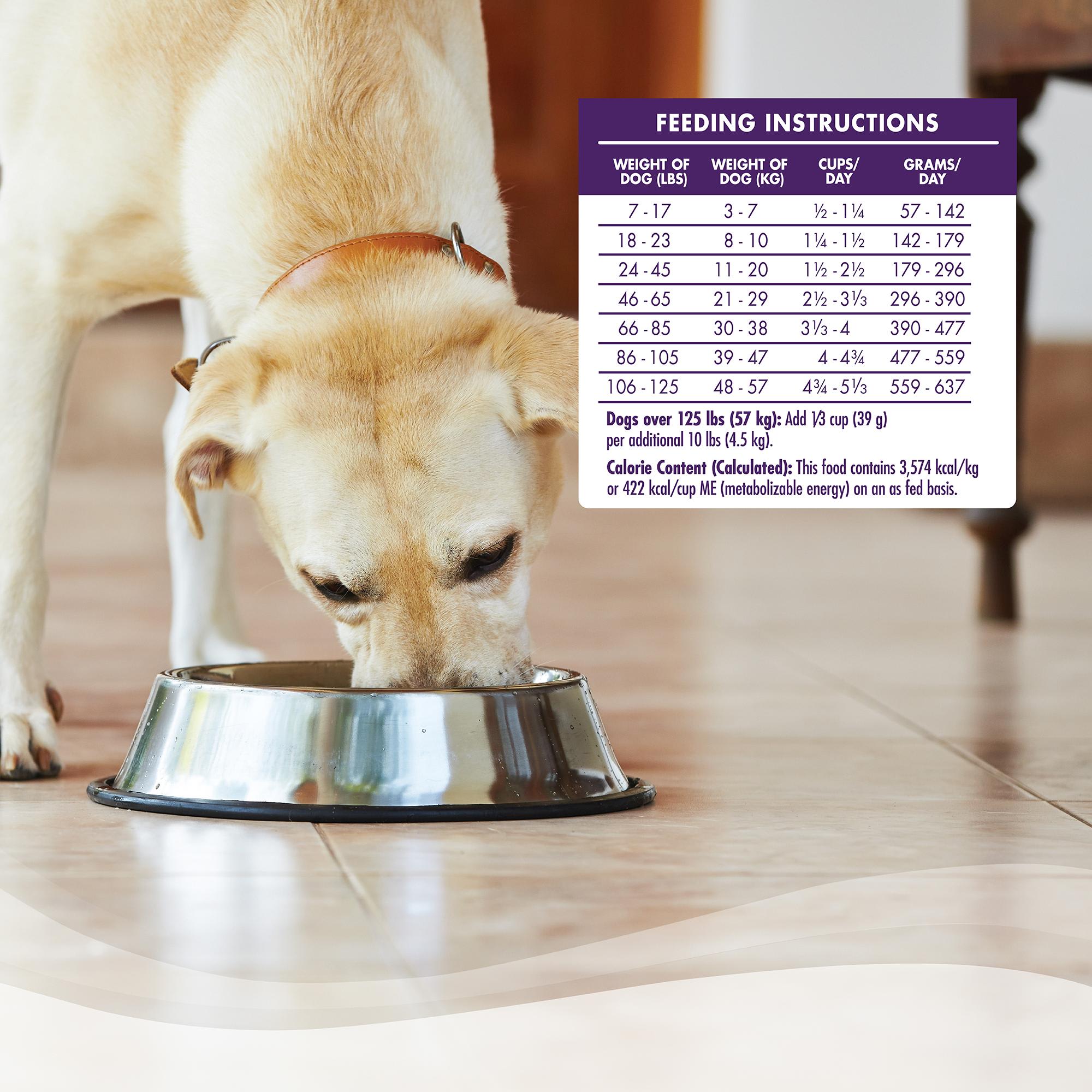 wellness complete health lamb