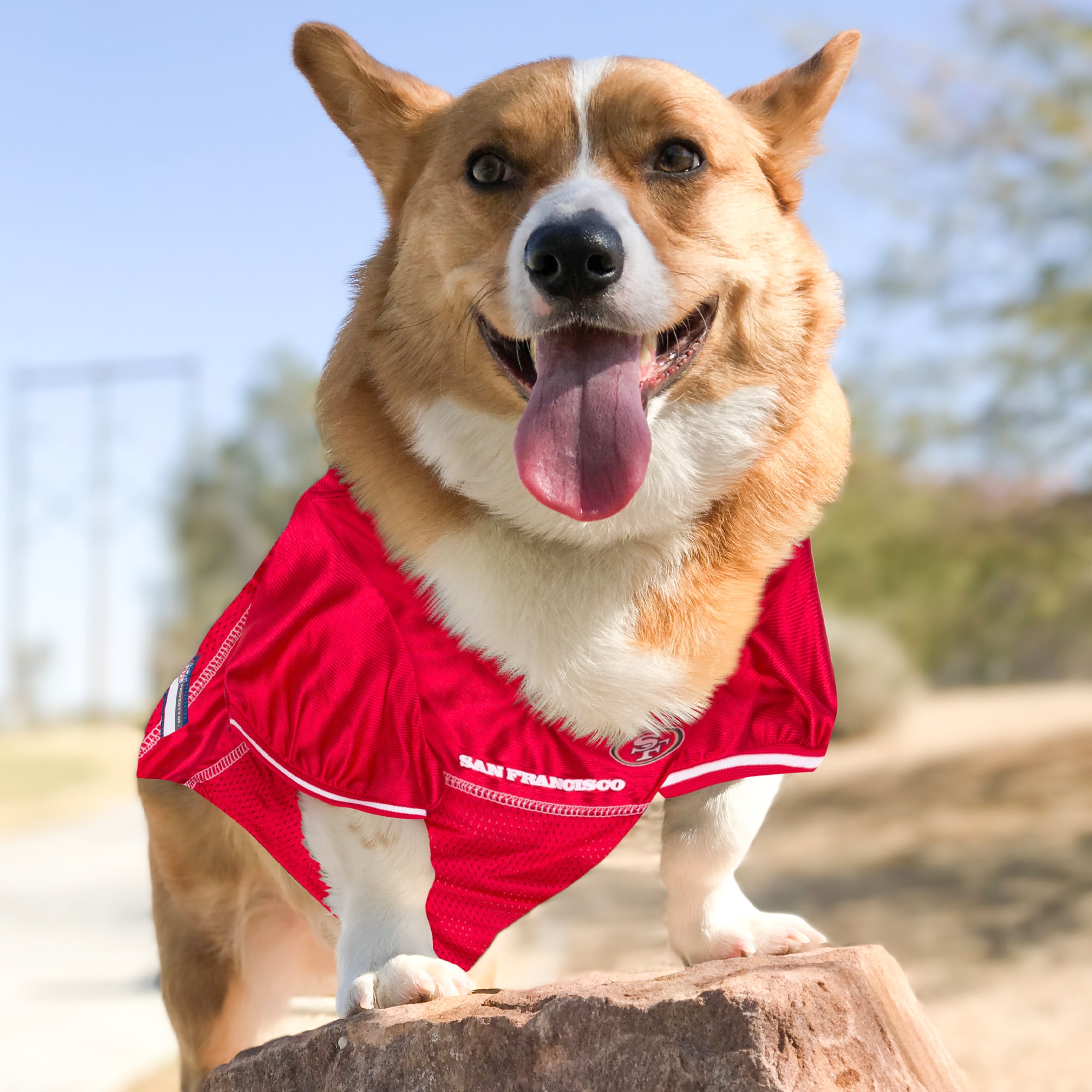 49ers best sale dog jacket