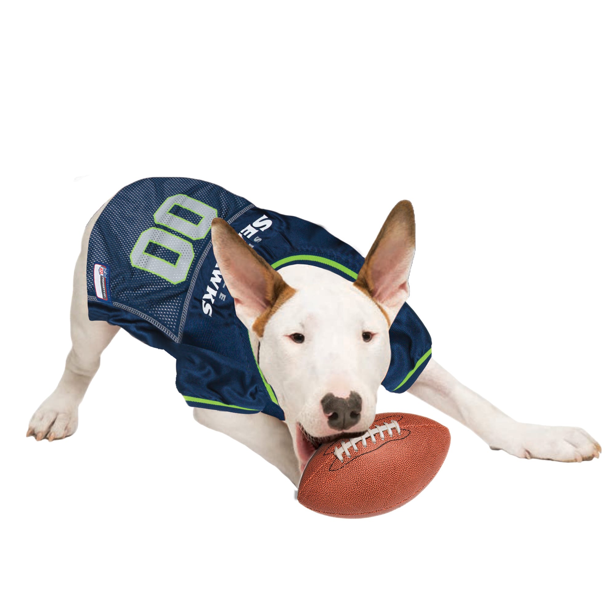 Seahawks jersey shop for dogs