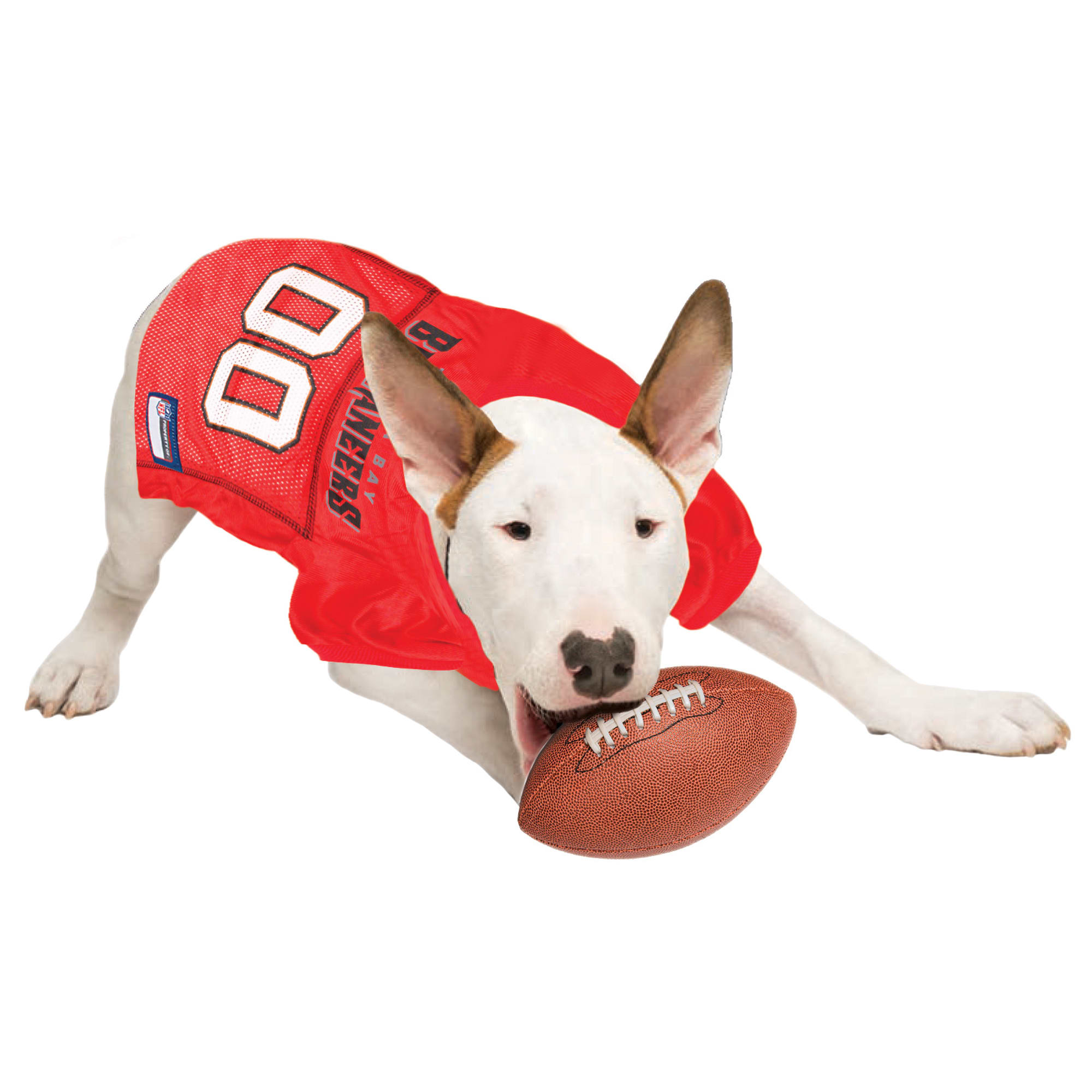 Tampa bay bucs clearance dog jersey