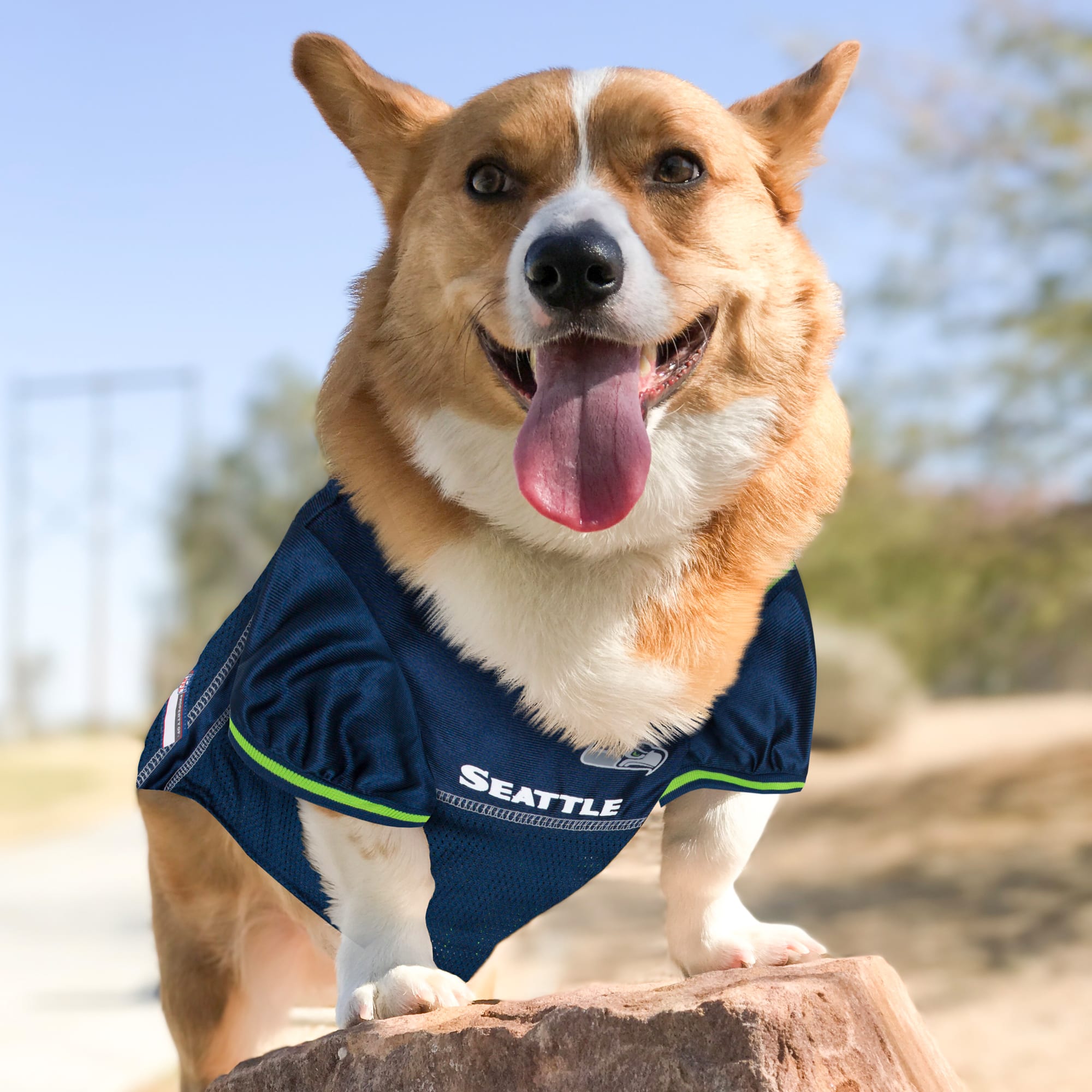 seahawks pet jersey