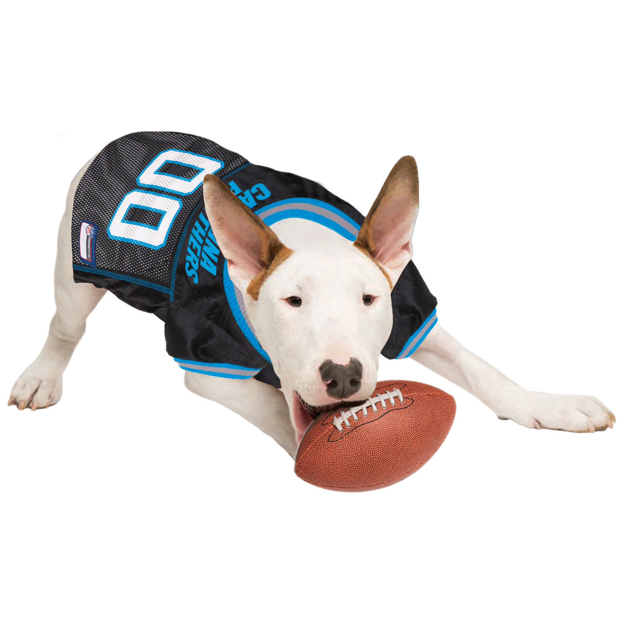 Panthers 2024 dog jersey