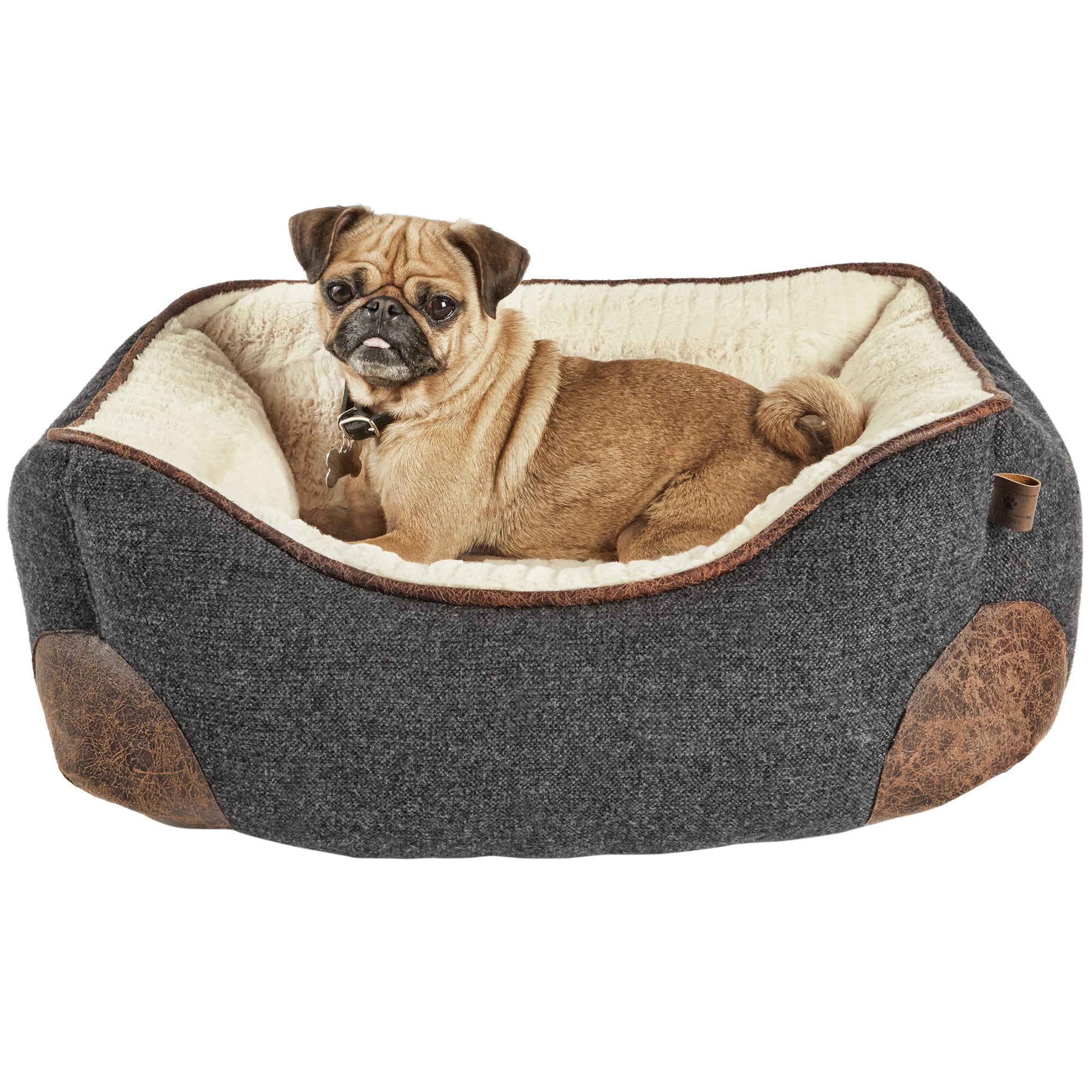 memory foam dog bed