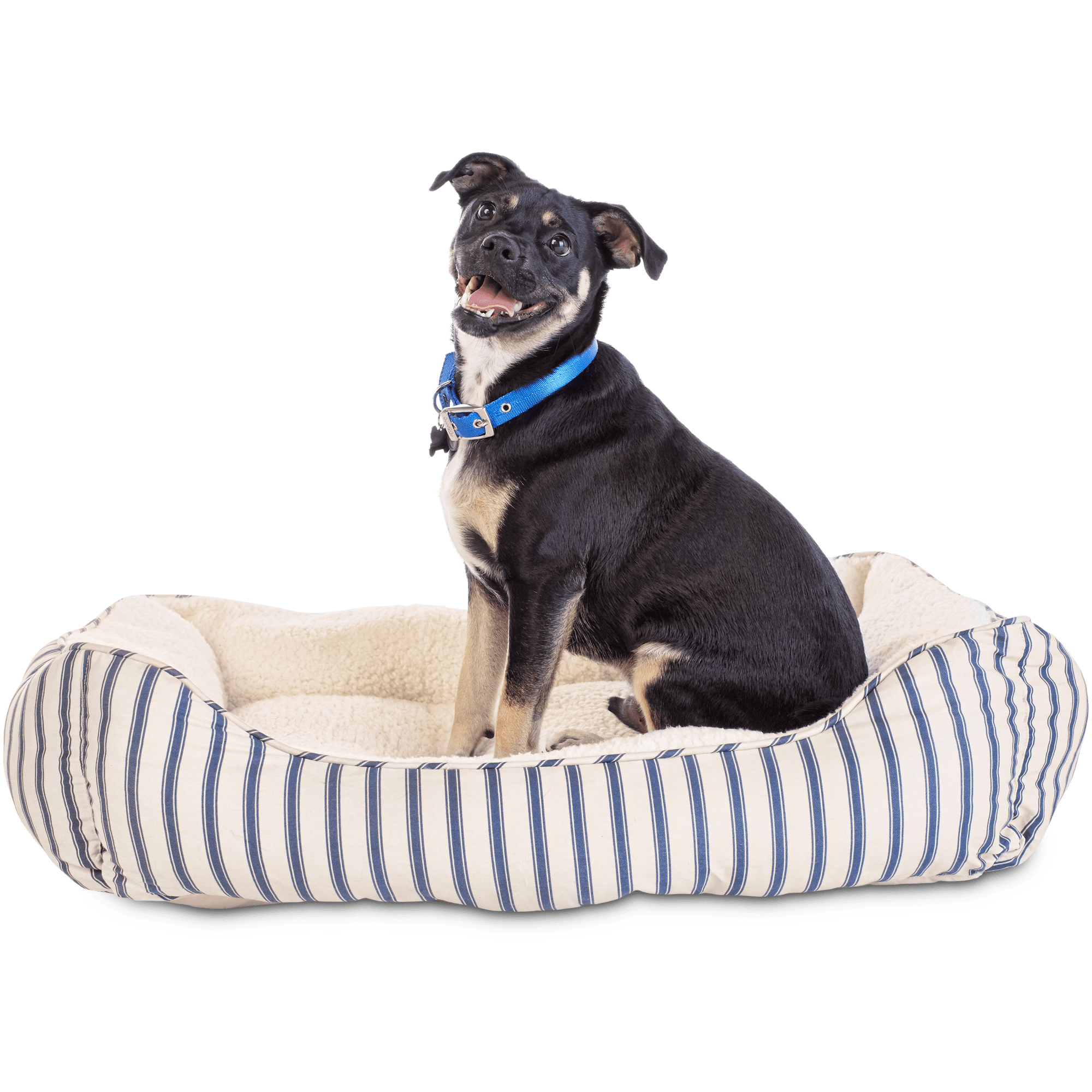 harmony standard nester dog bed