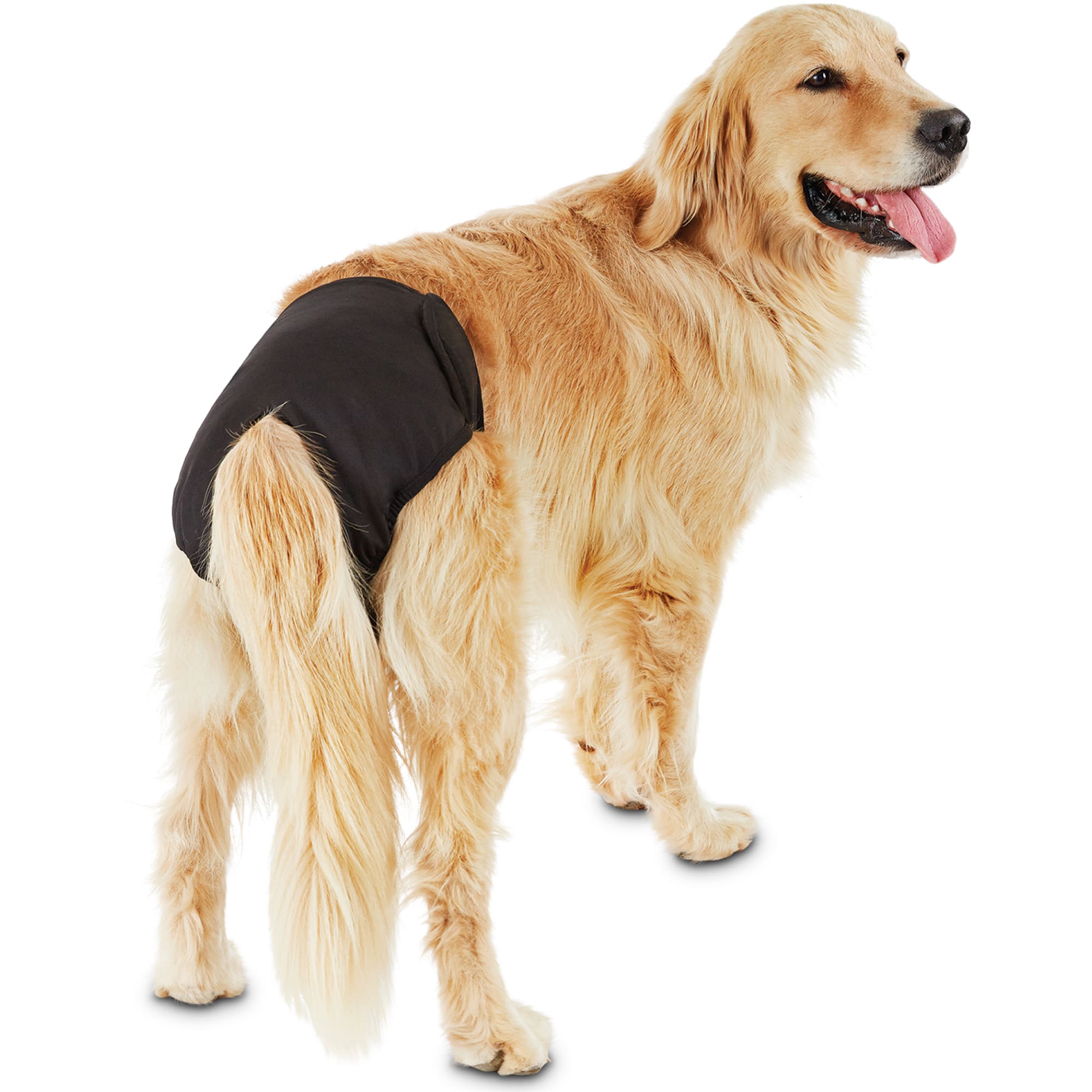 XYAA Reusable Washable Puppy Underwear Pets Supplies Female Dog