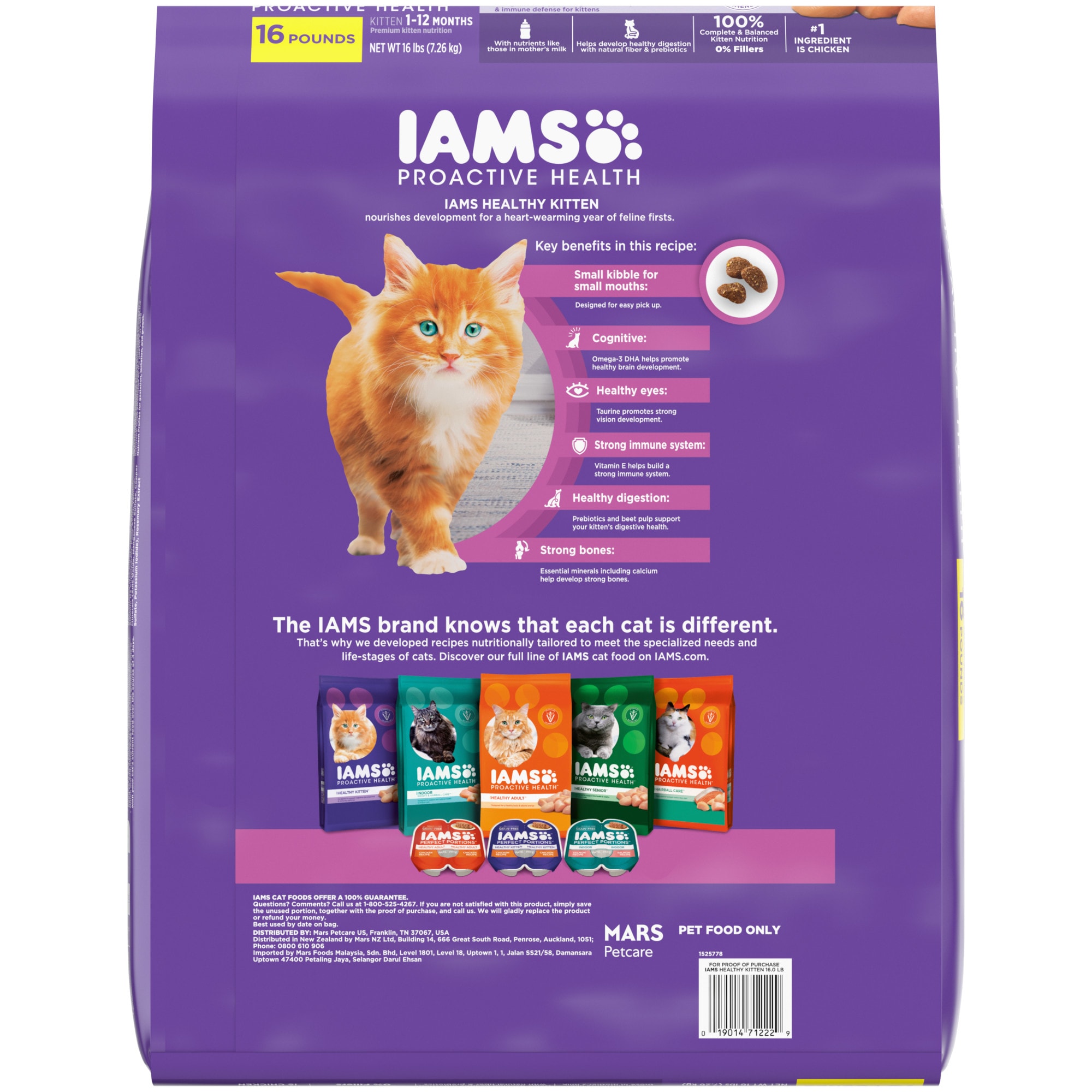 Iams healthy hot sale kitten