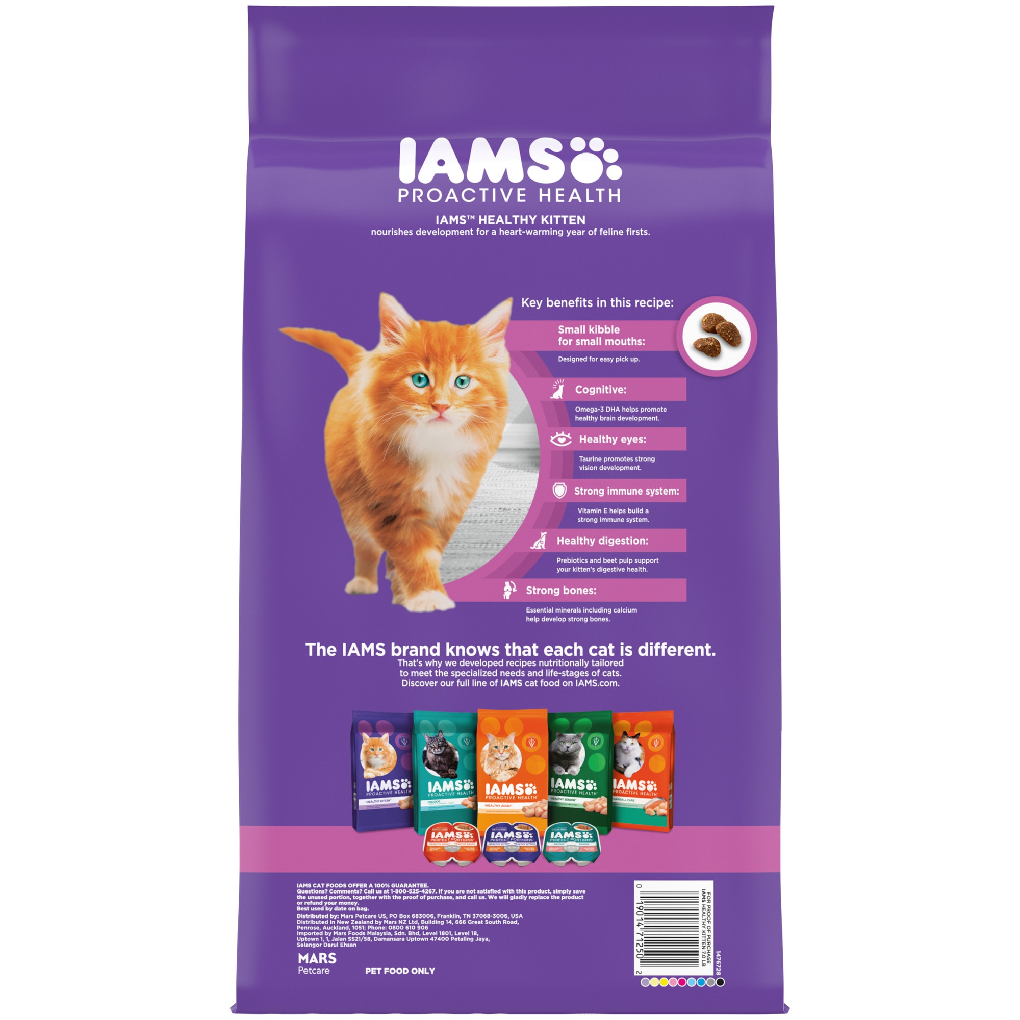 Petco iams 2025 kitten food