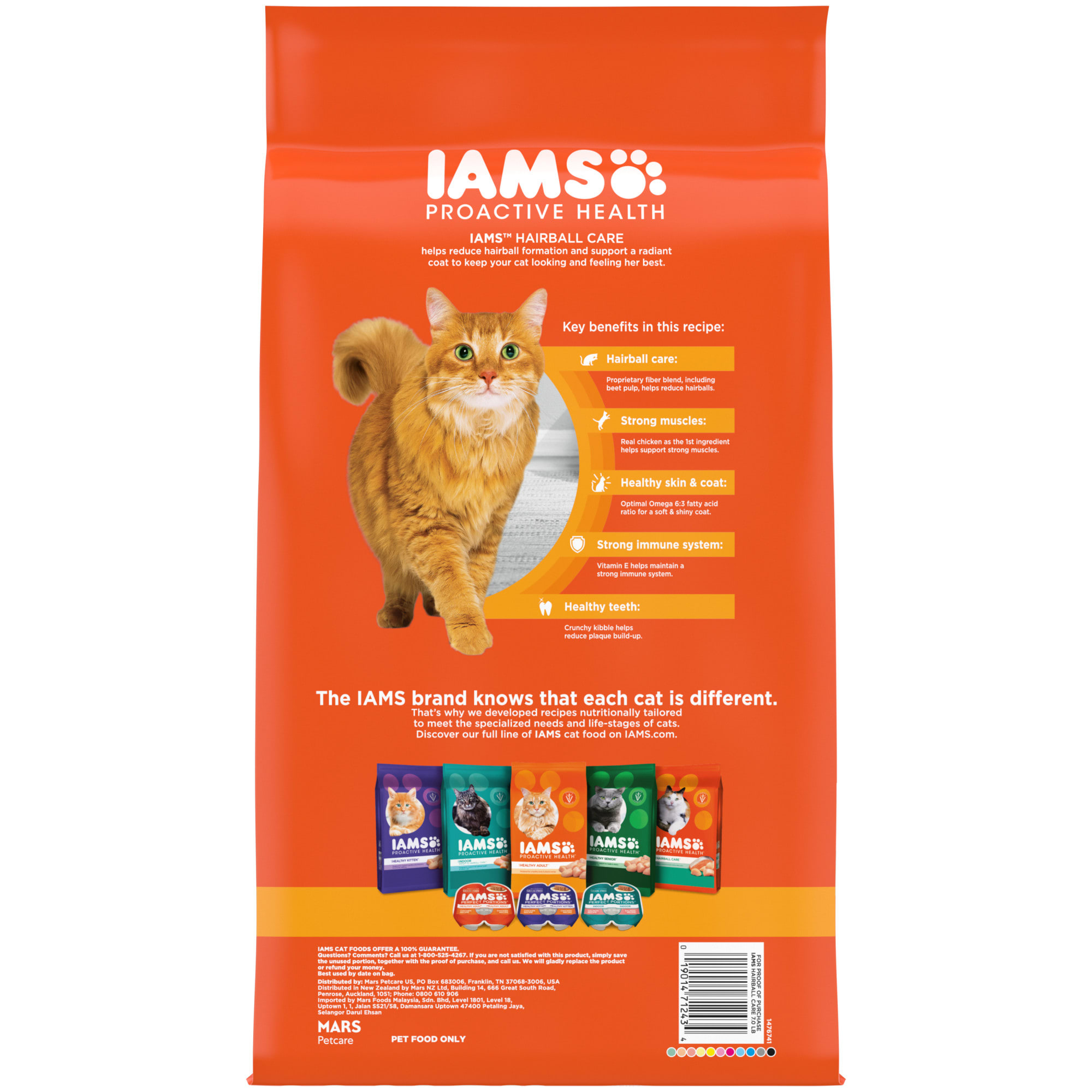 Iams ProActive Health Hairball Care Chicken and Salmon Adult Dry