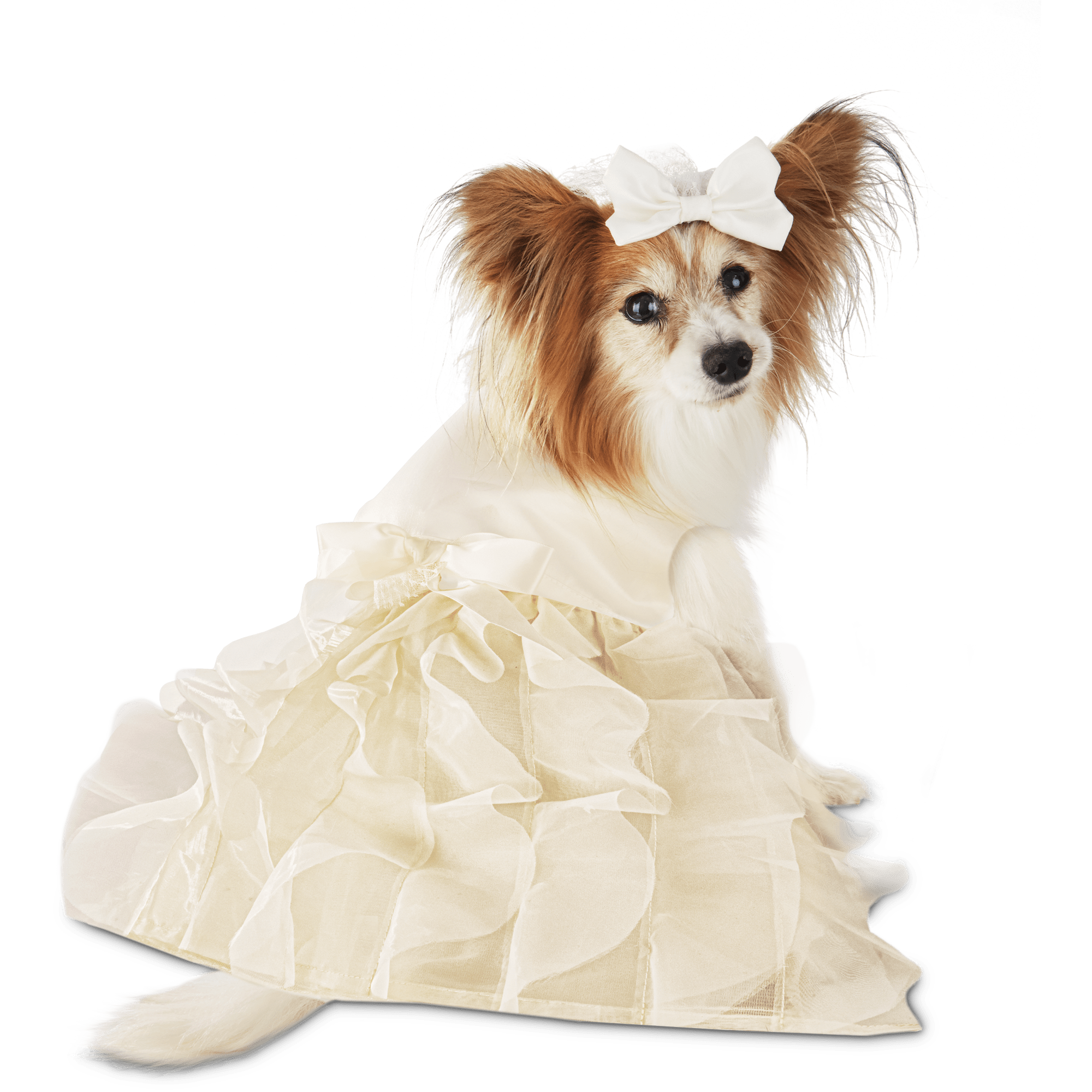 Me Wedding Dress \u0026 Veil Set for Dogs 