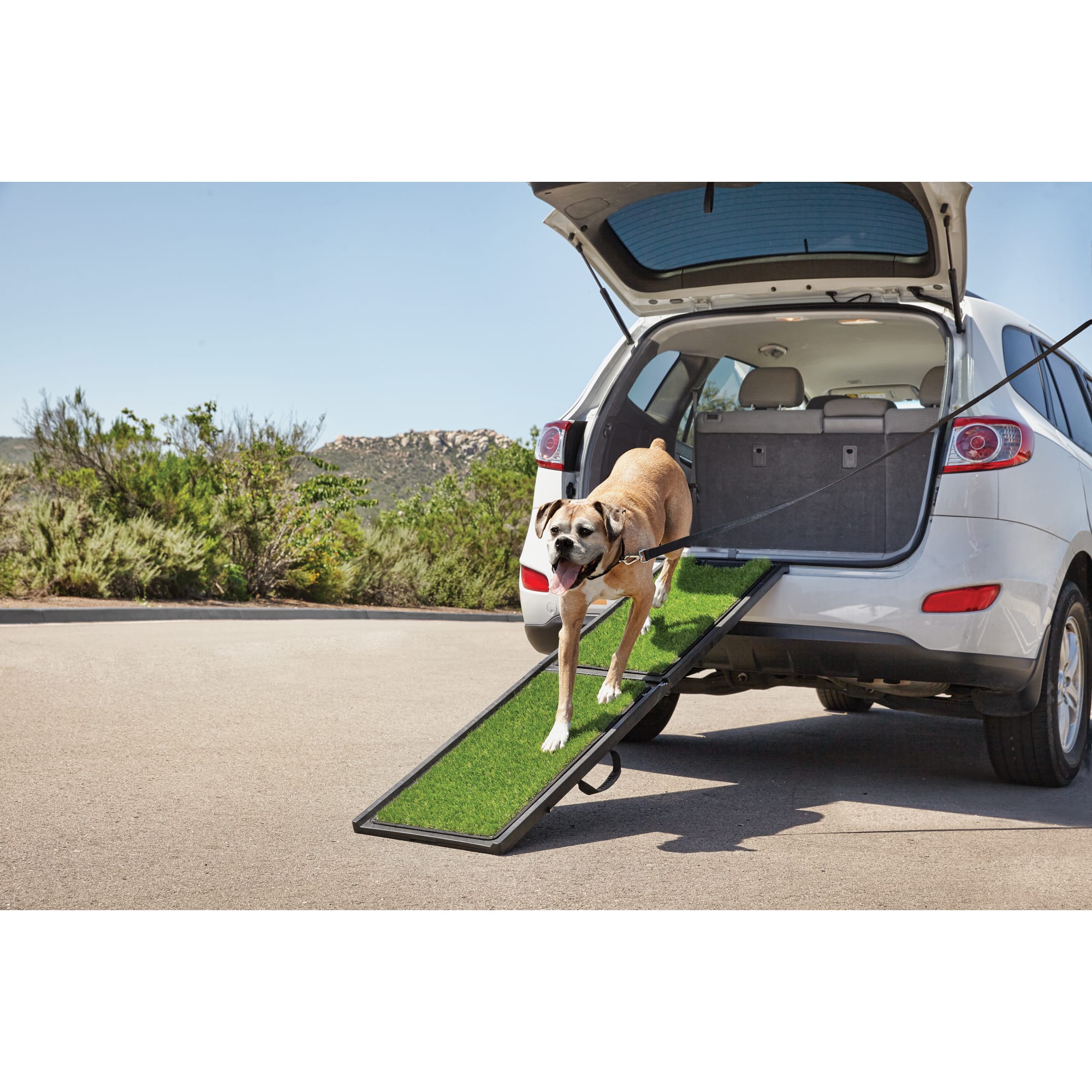 dog ramp for rv steps