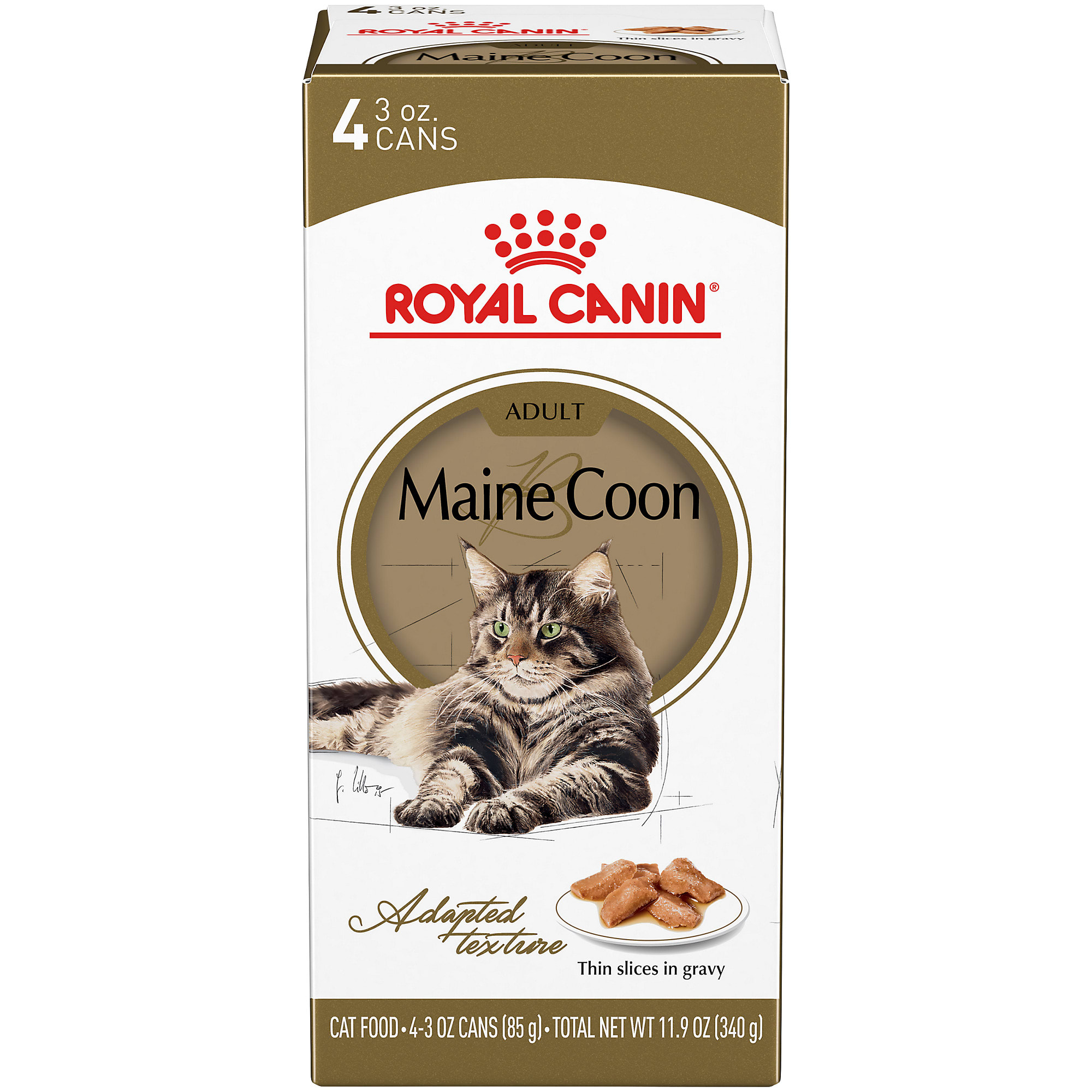 royal canin maine coon kitten food