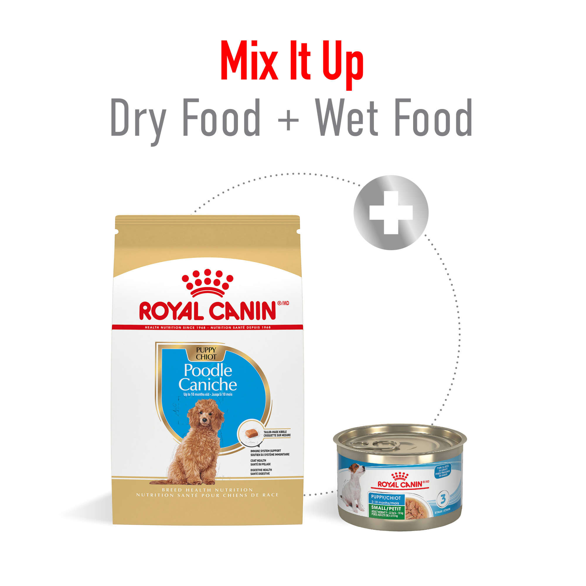Dry Dog Best Dog Food For Labradoodle Puppy Shop Labradoodle Puppy