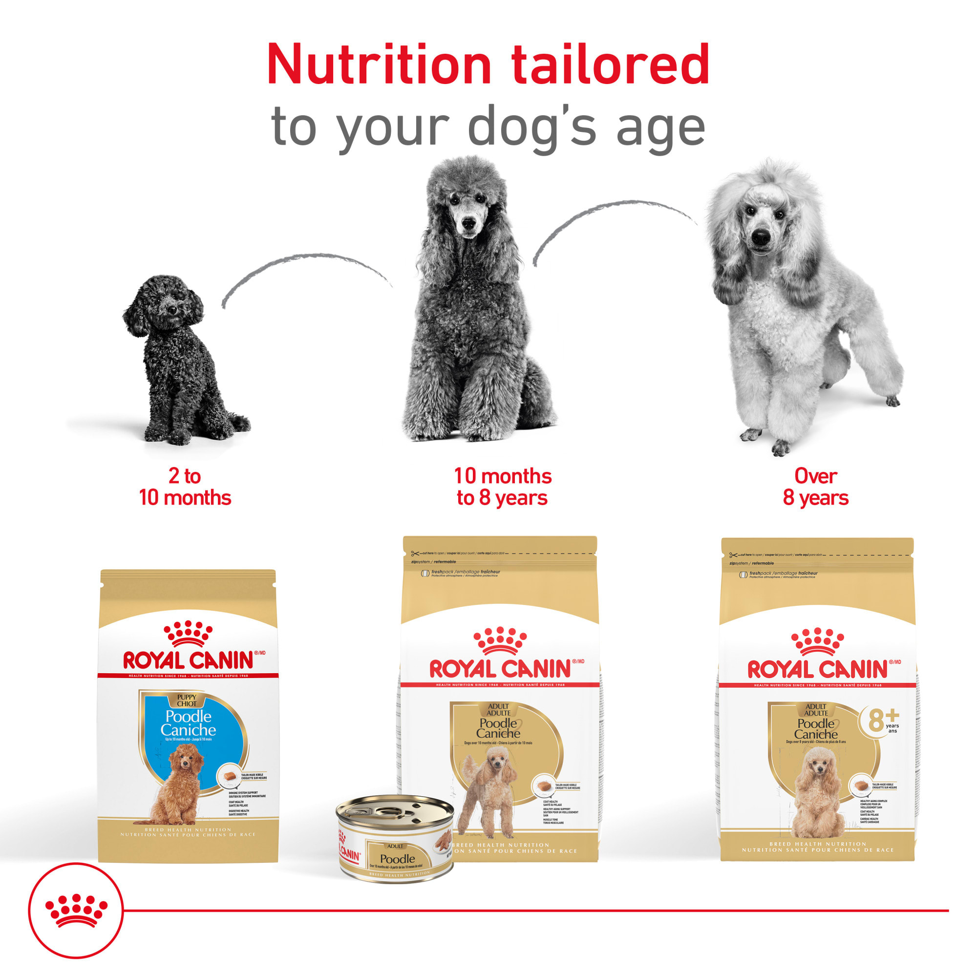 Dog Food Poodle Food Allergies Royal Canin Poodle Puppy Dry Wet