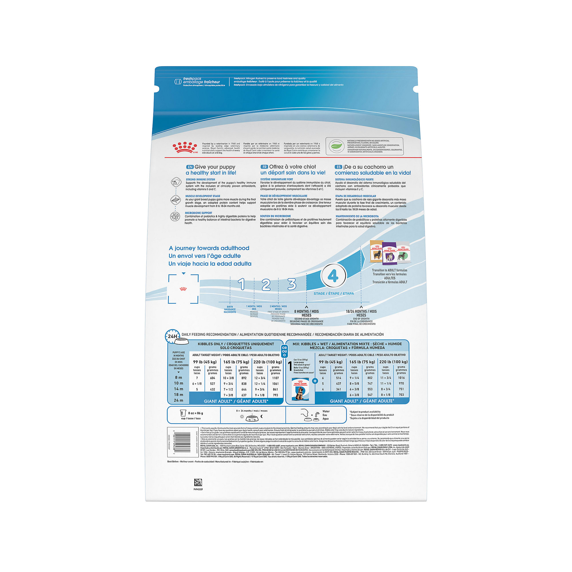 Gastro 2024 intestinal junior