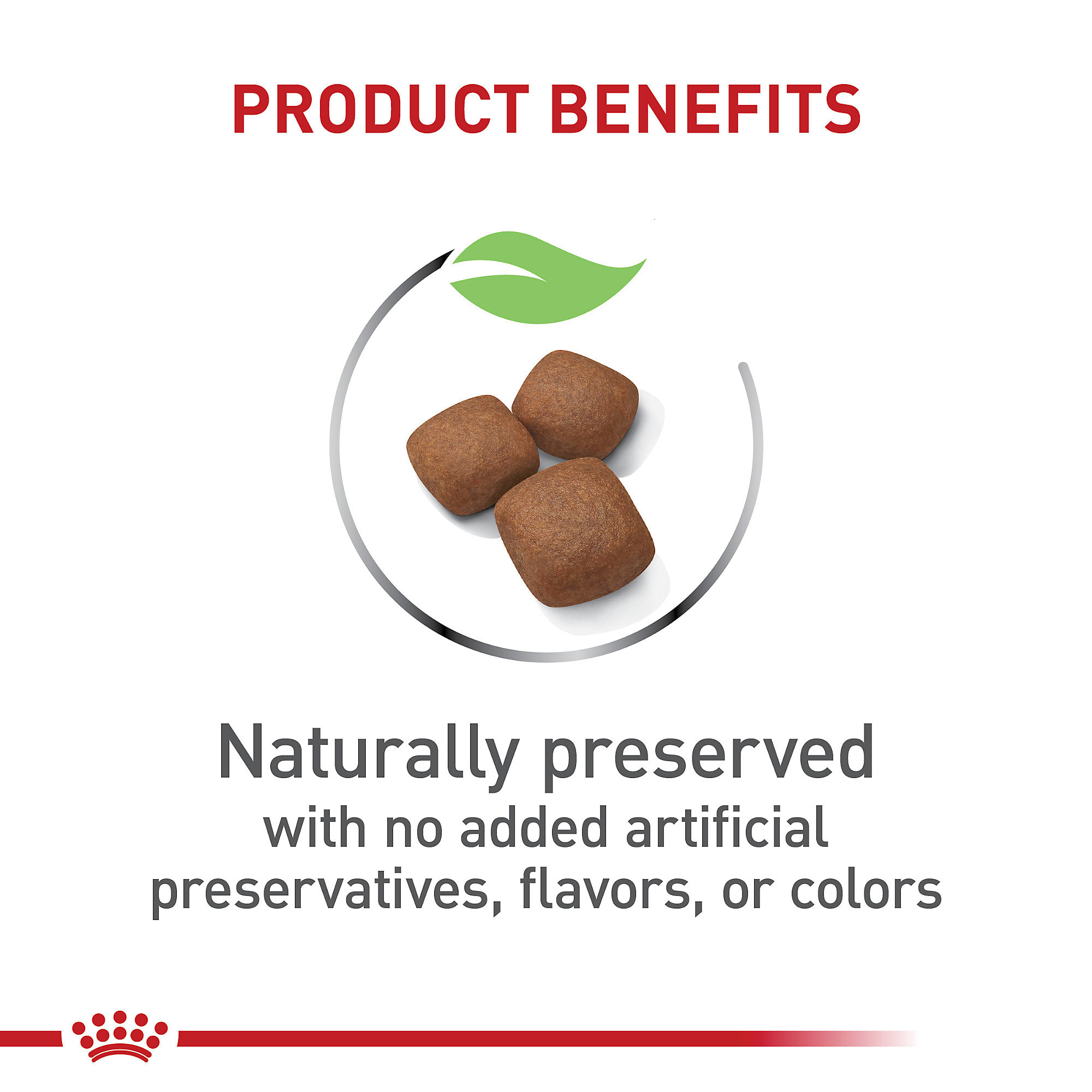  CANIN JUNIOR GIANT ドライフード Giant Junior - ROYAL CANIN® Professionals