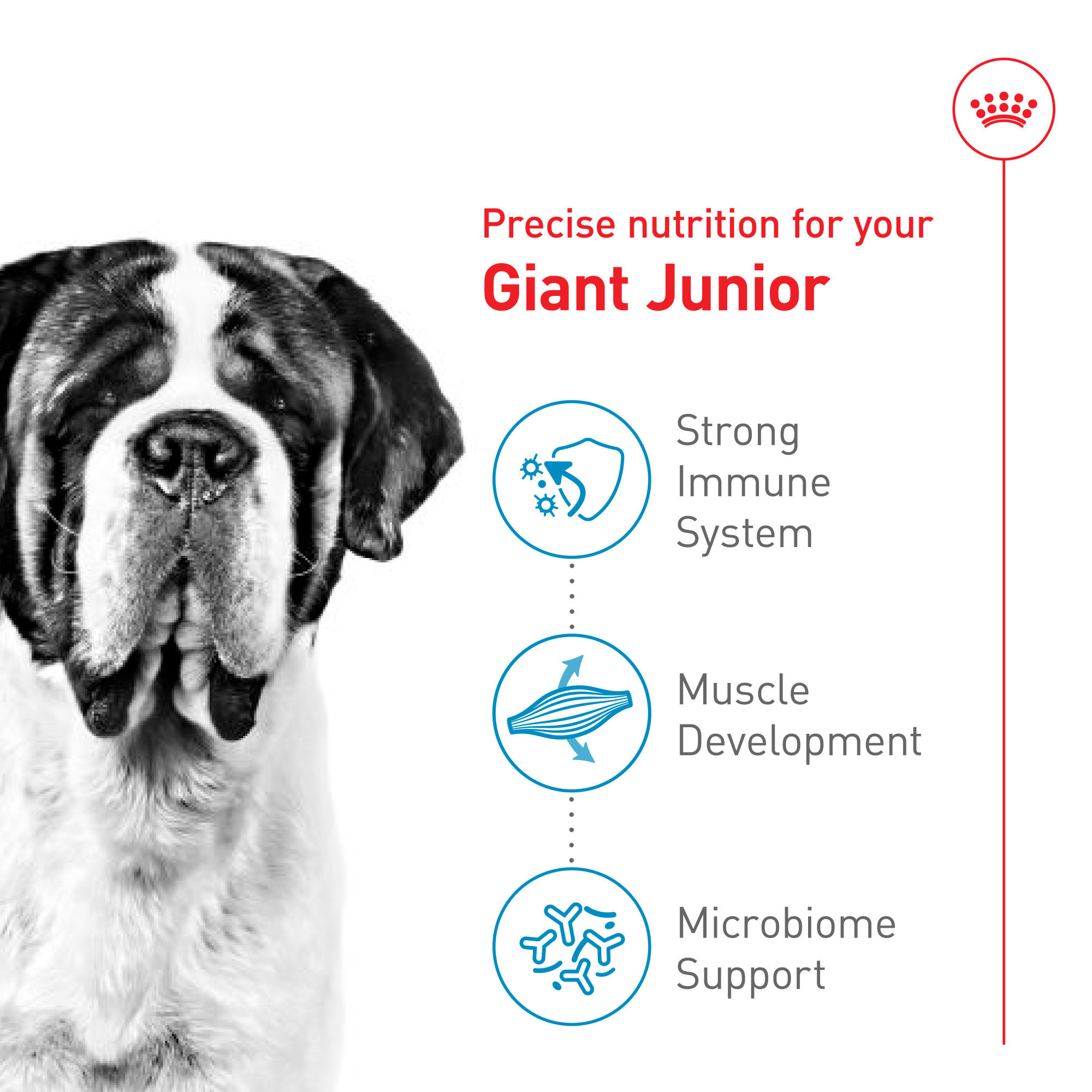 Royal Canin Size Health Nutrition Giant Junior Puppy Dry Dog Food