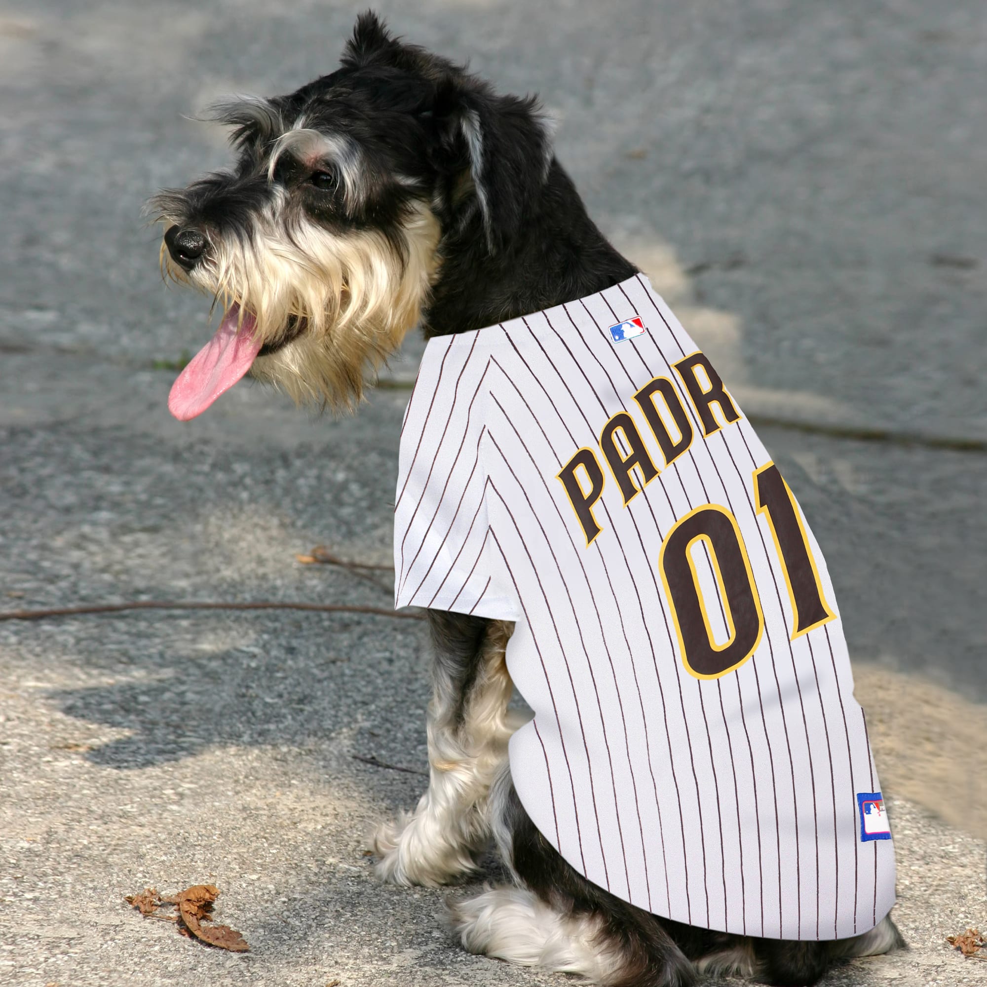 Pets First MLB National League West Jersey for Dogs X Small Los Angeles Dodgers Petco