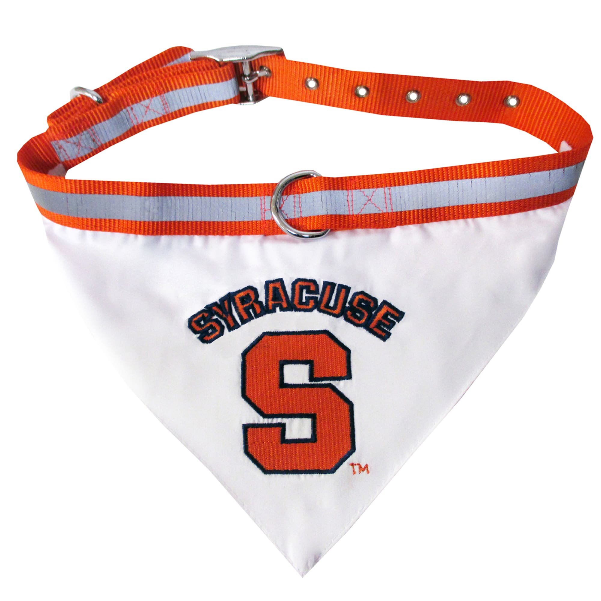 Large Team Color NCAA Syracuse Orange Dog Leash