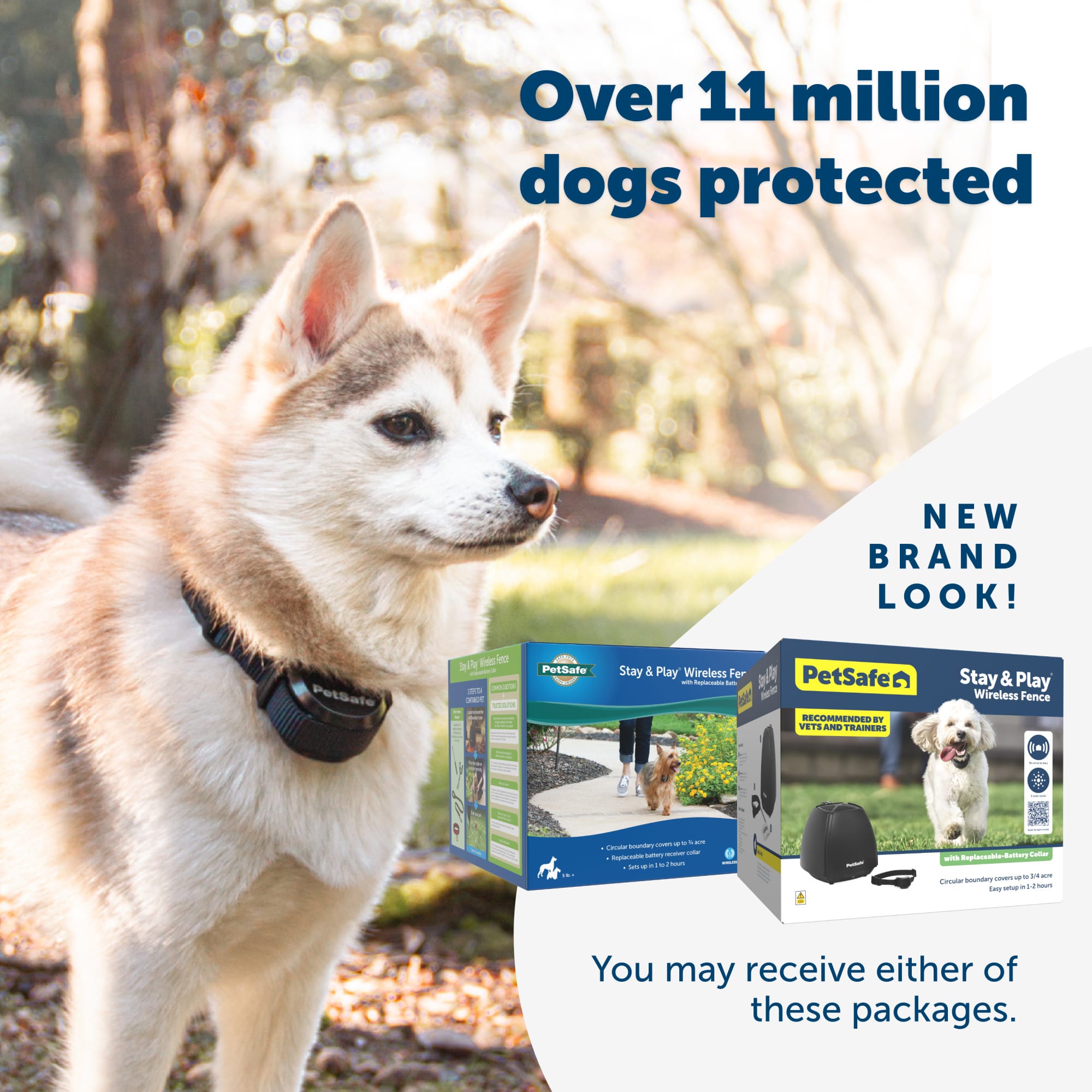 Petsafe wireless fence clearance petco