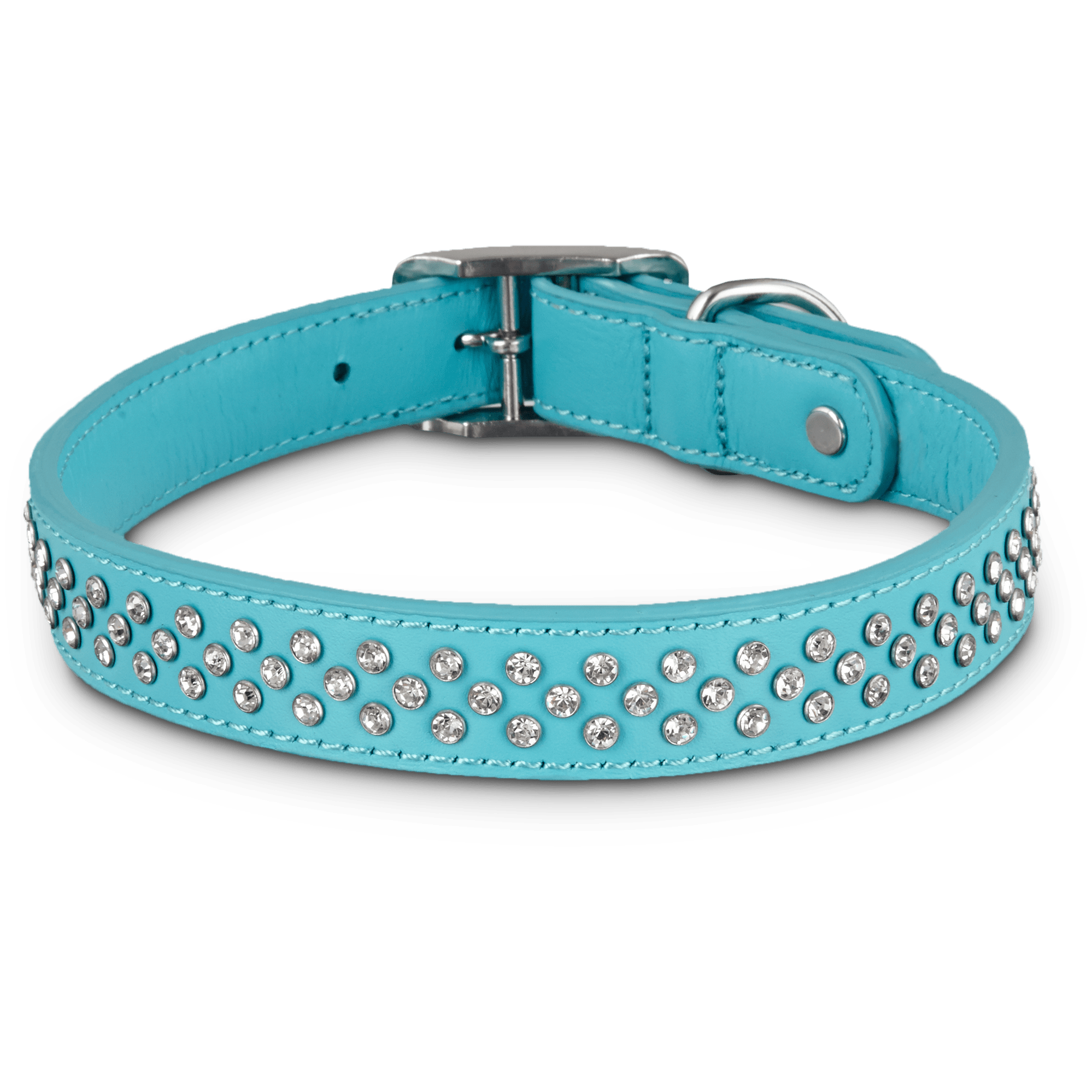 bond & co dog collars