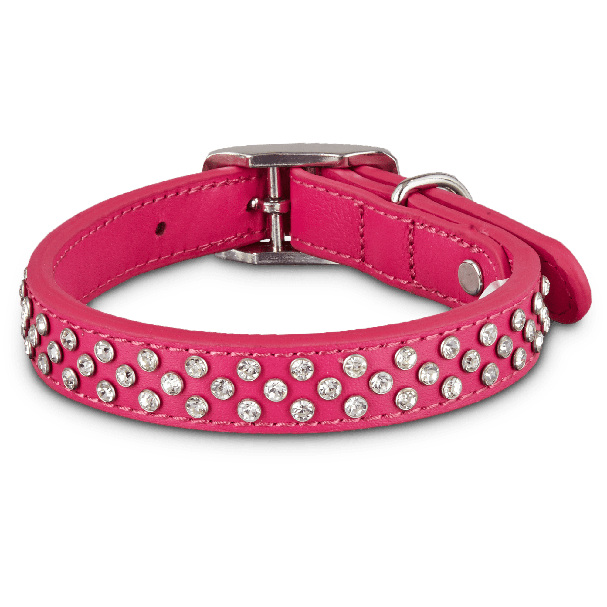 bling puppy collar