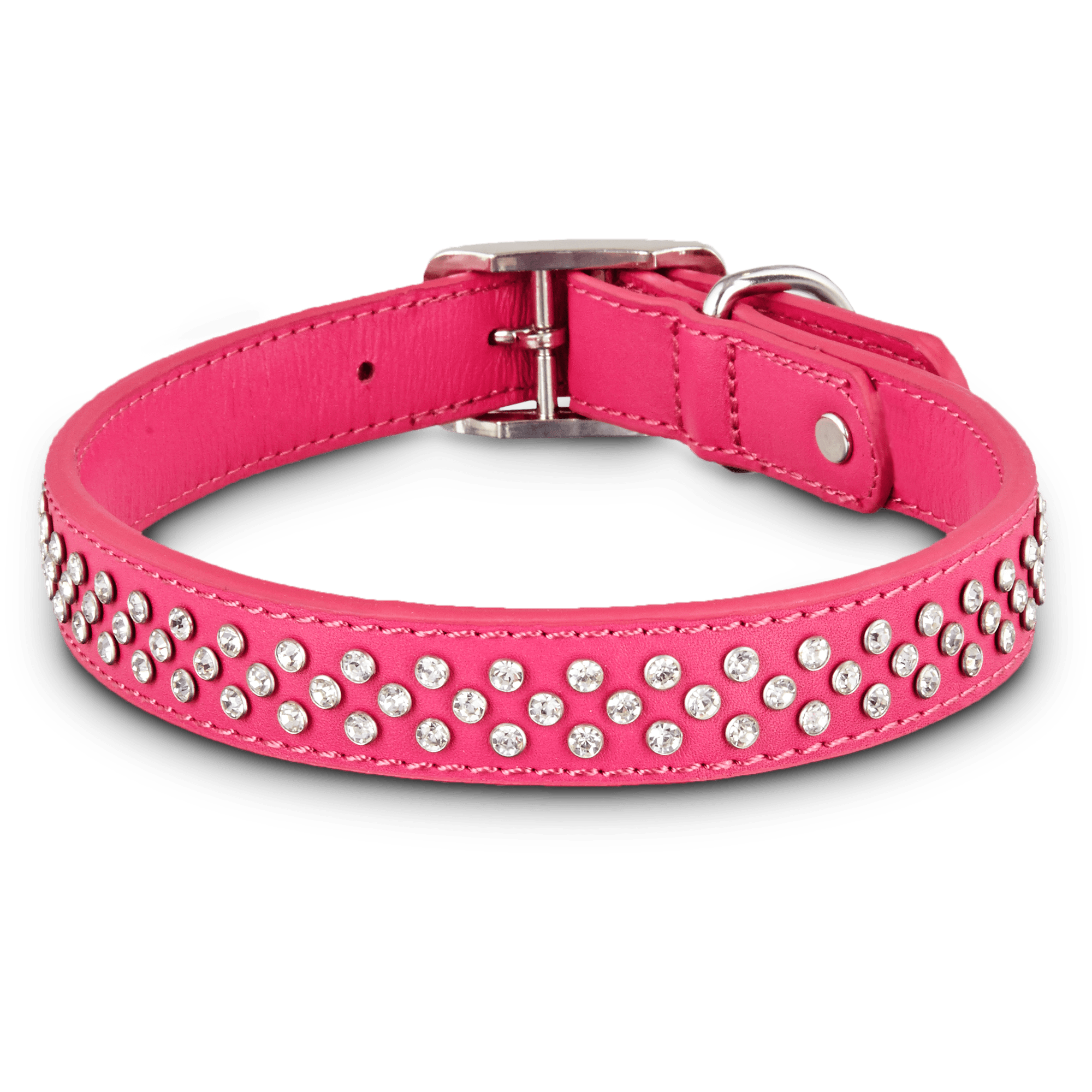 pink dog collar