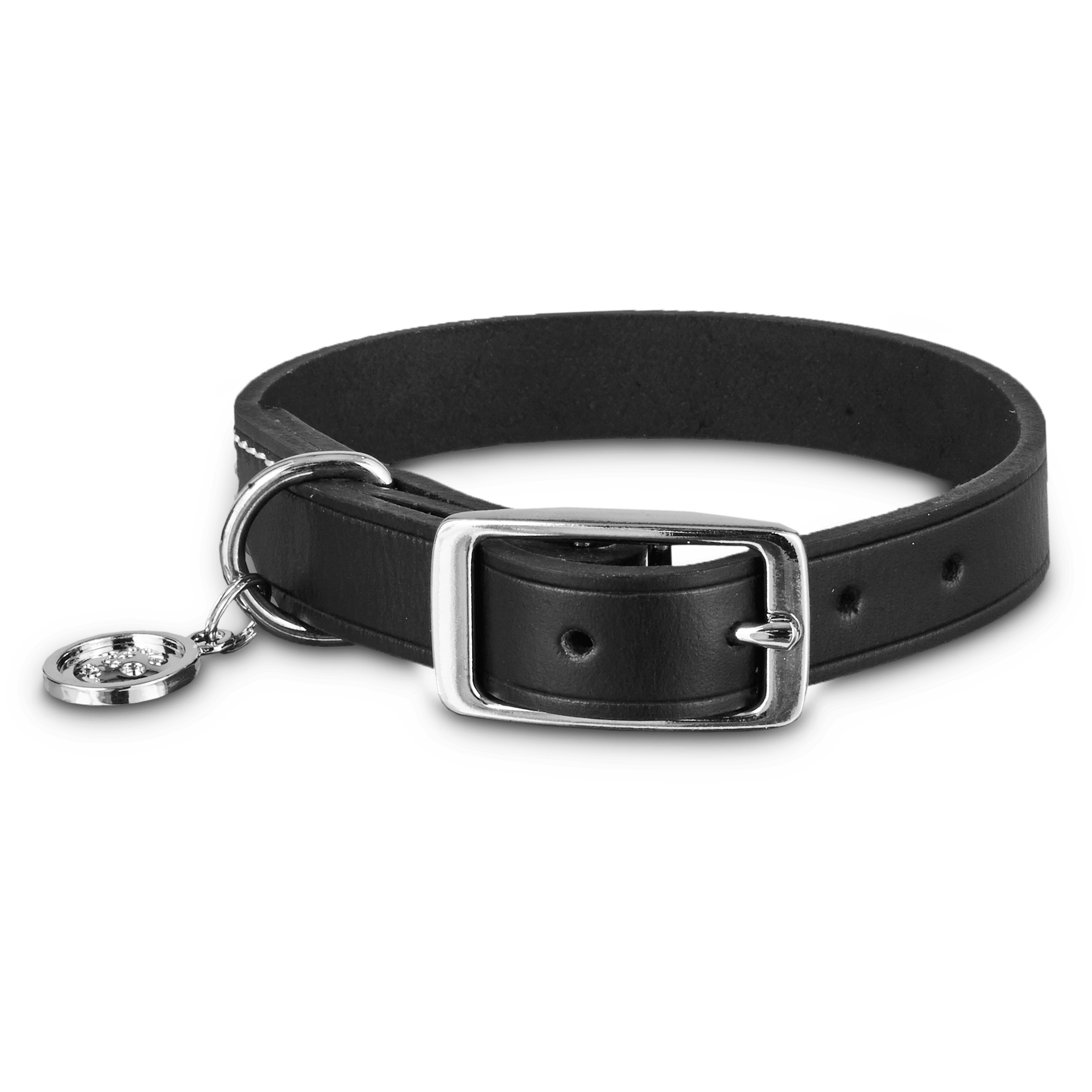 Bond & Co. Black Leather Dog Collar, Small Petco