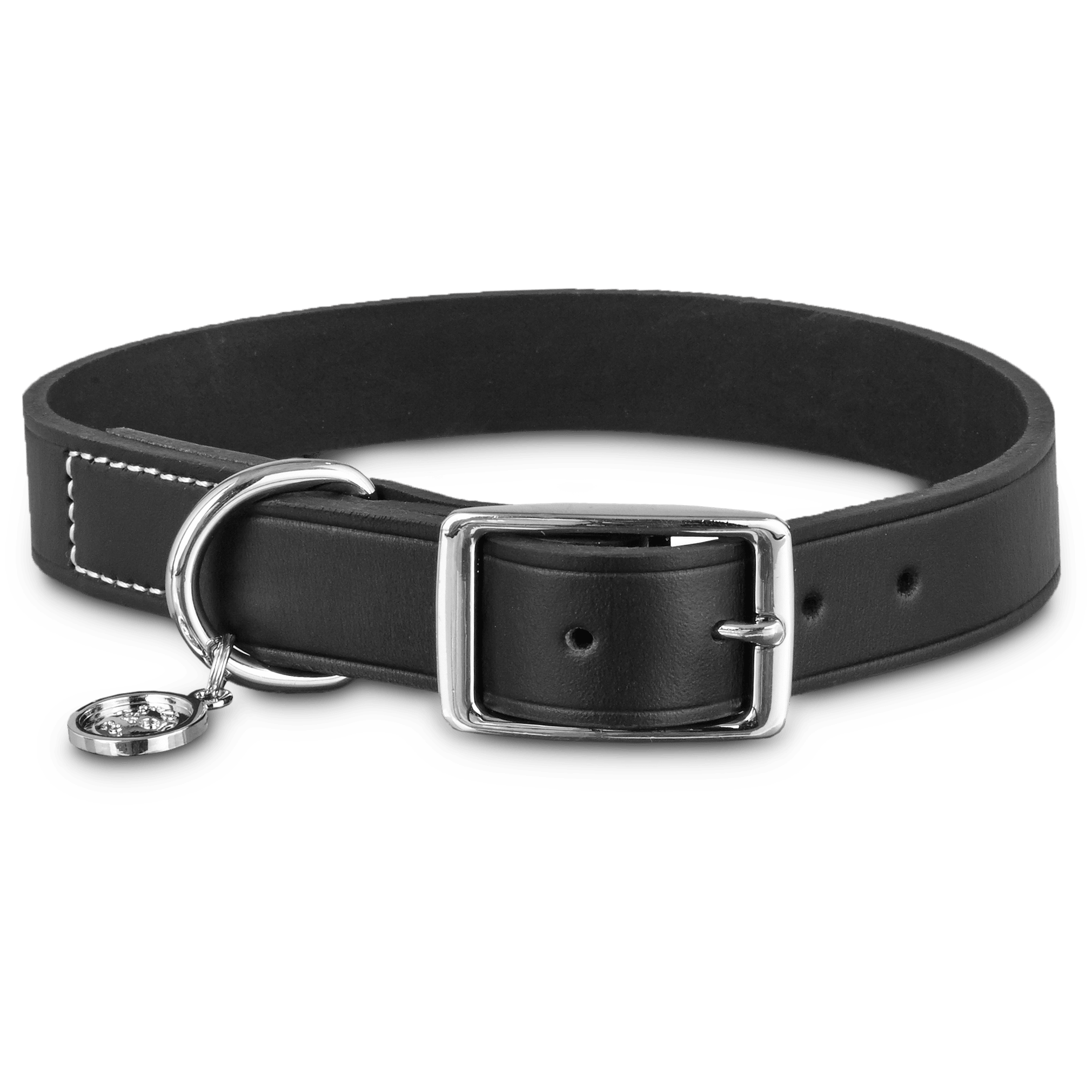 black leather dog collar