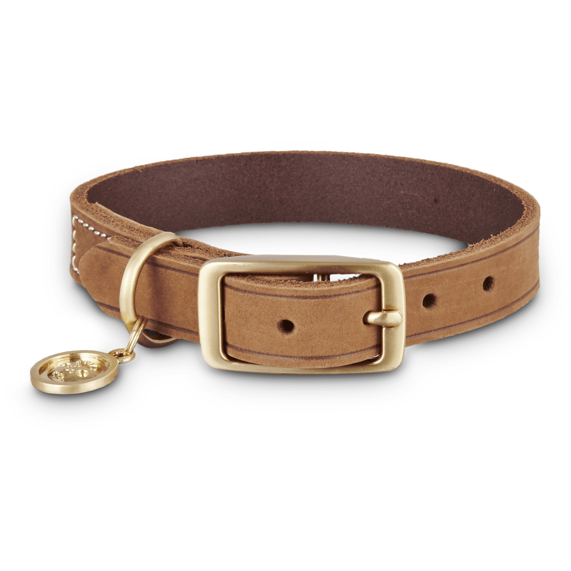 copper dog collar