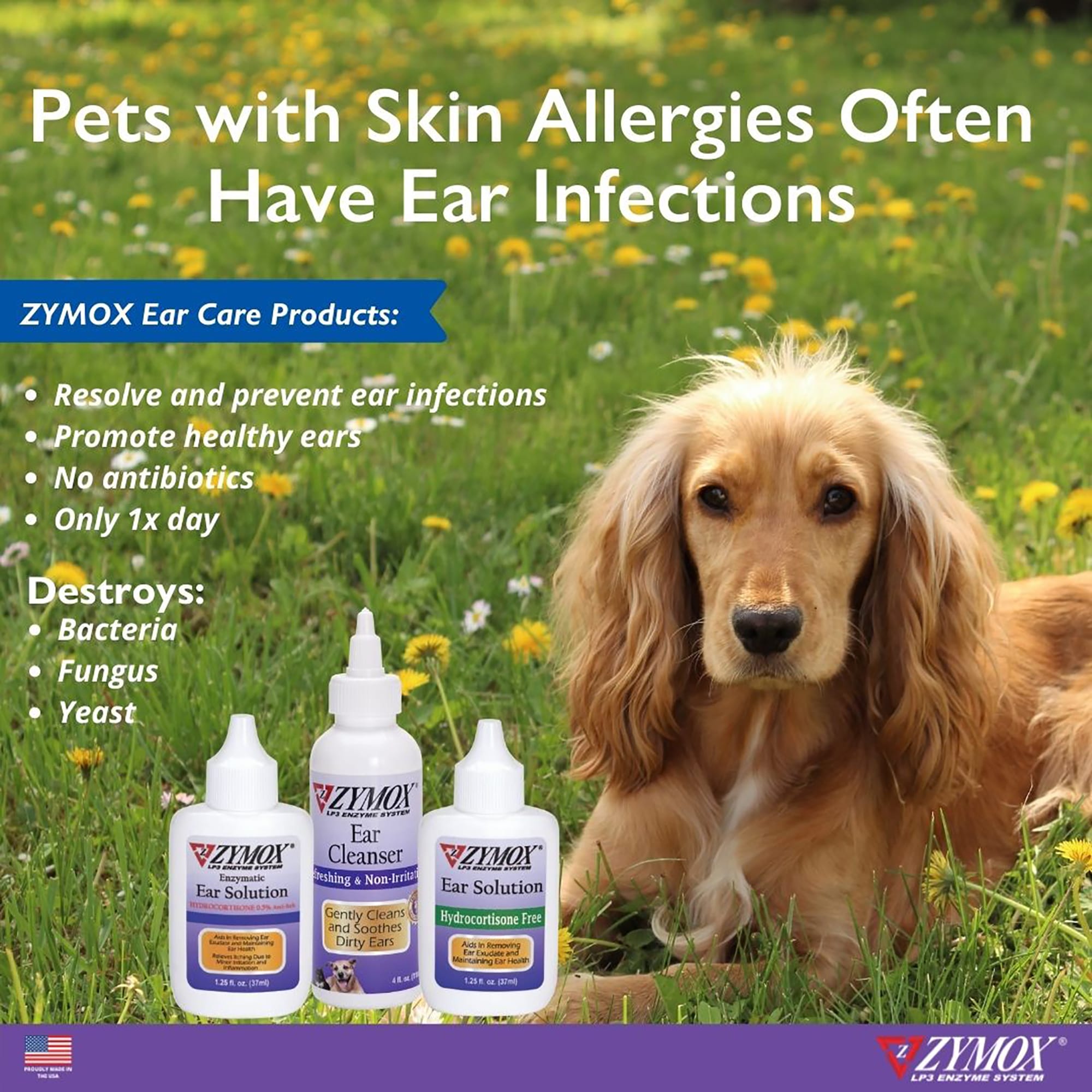 Dog ear best sale infection medicine petco