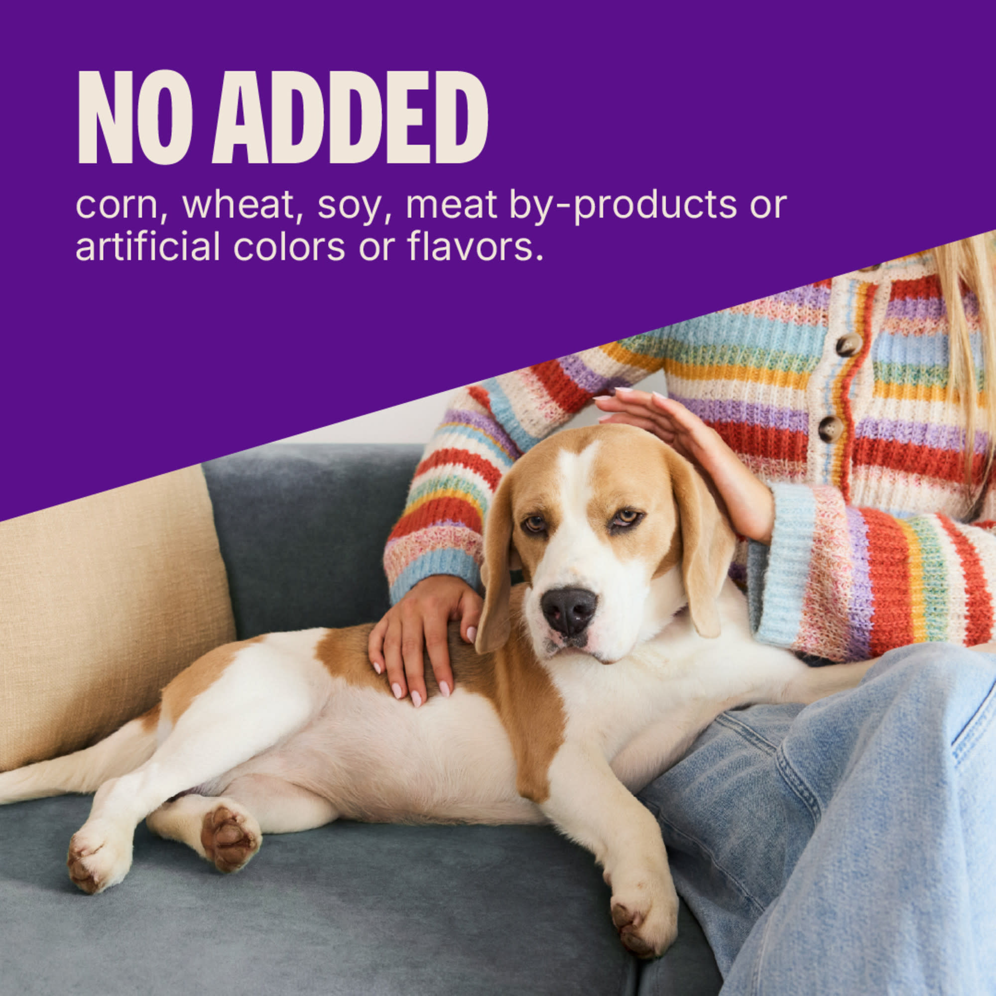Wellness Complete Health Puppy Bites Natural Grain Free Chicken