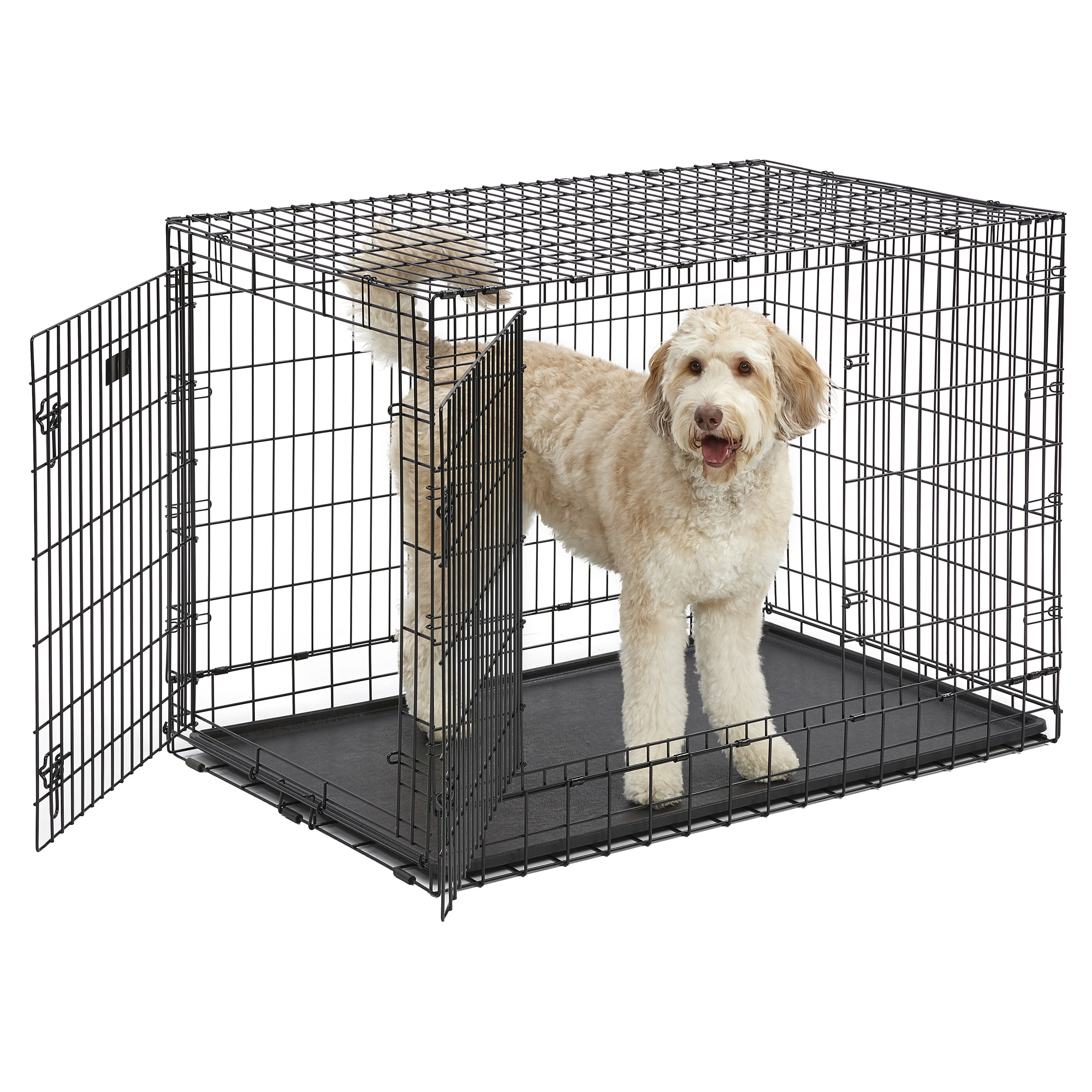 https://assets.petco.com/petco/image/upload/f_auto,q_auto/2593583-center-1