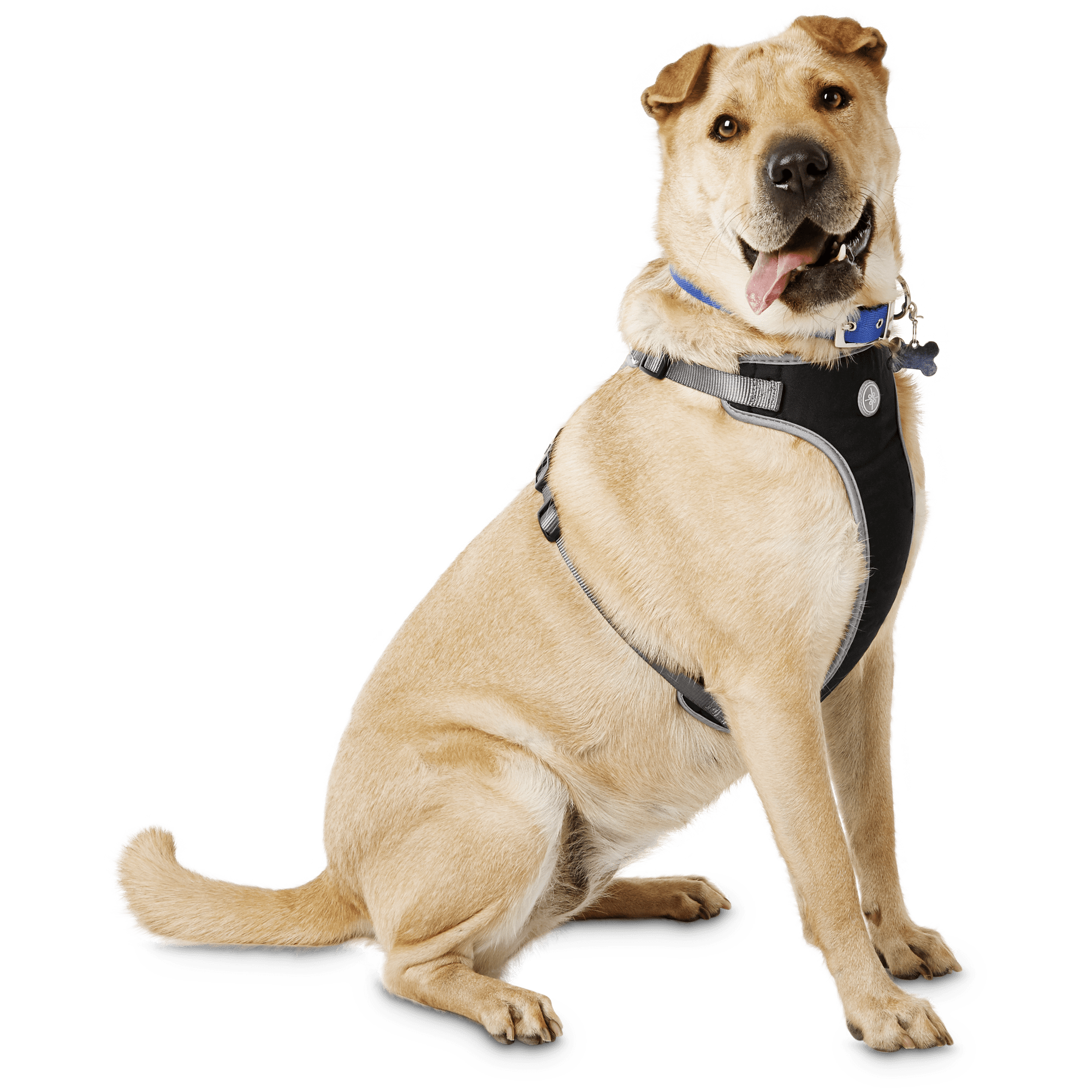 YOULY The Classic Black Harness for Large Dog XX Large 3X Large