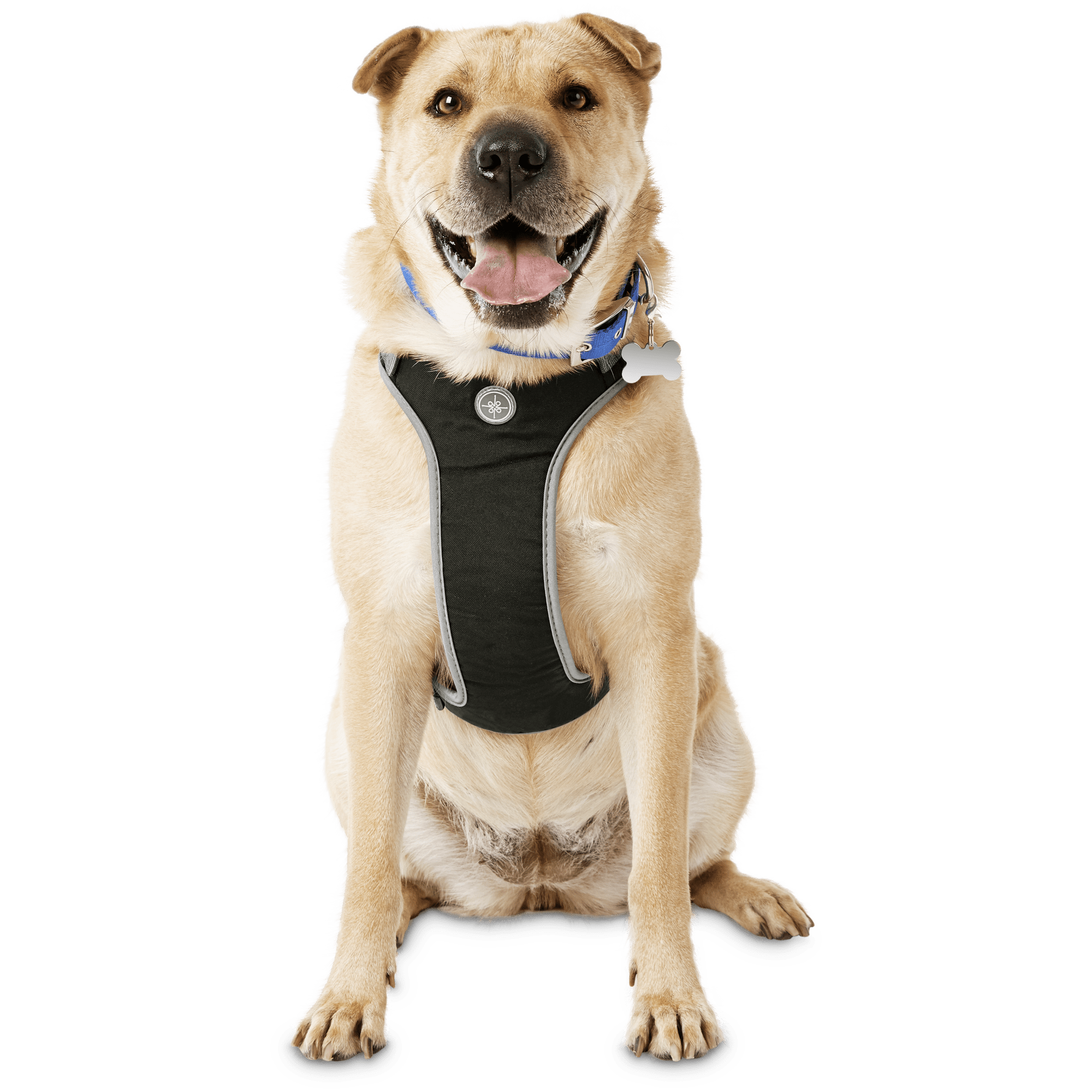 YOULY The Classic Black Harness for Large Dog, X-Large/XX-Large