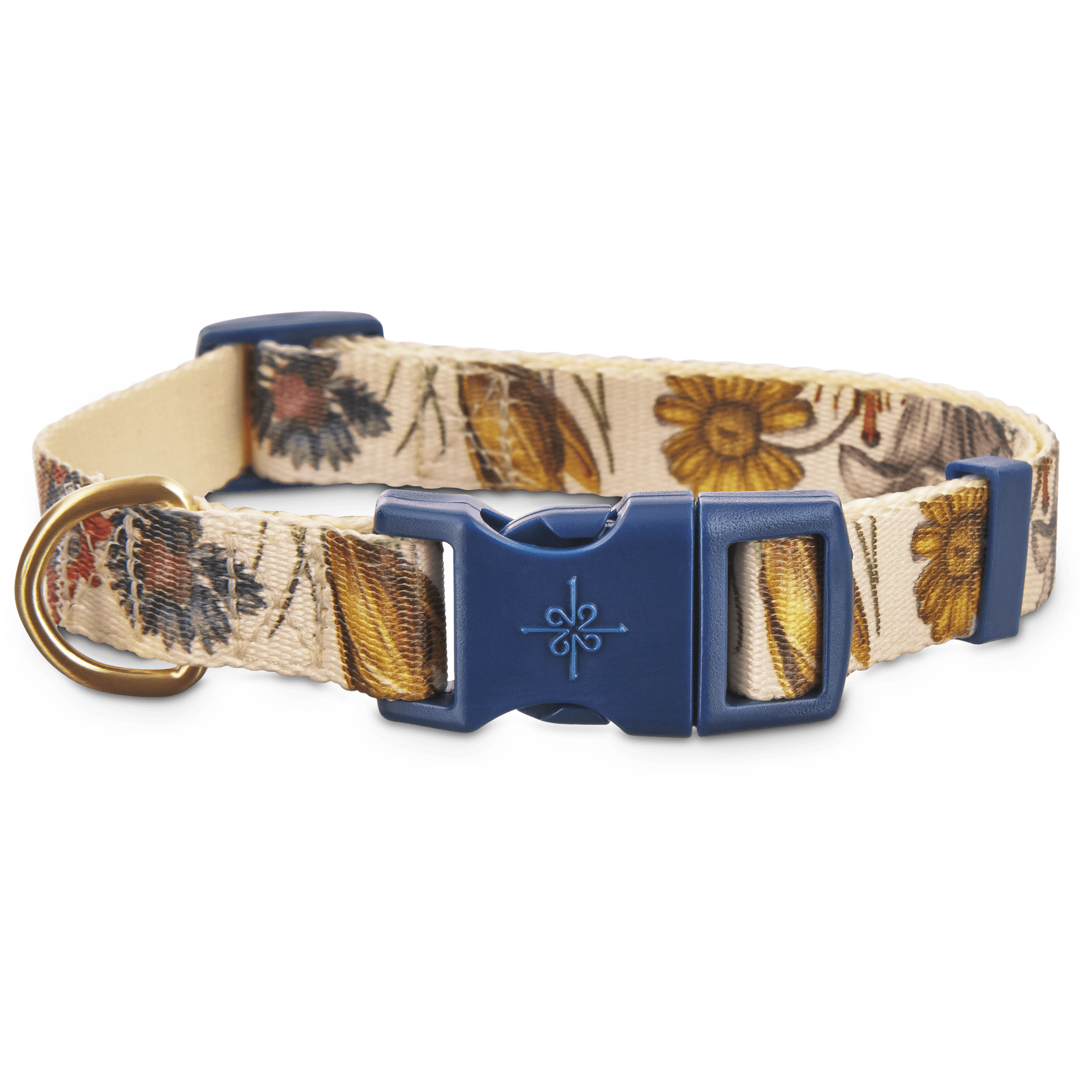 dog collar with buckle closure