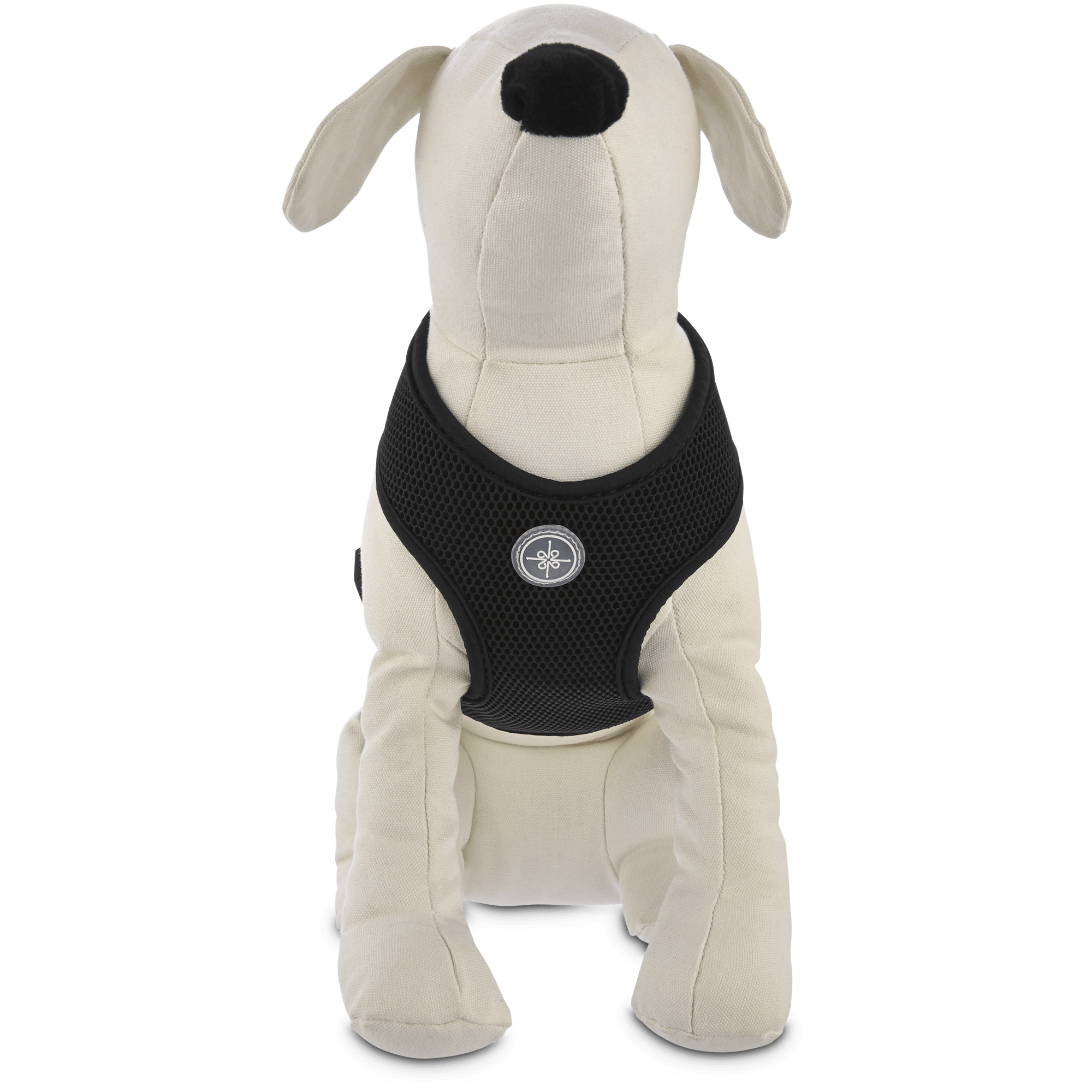 dog harness petco