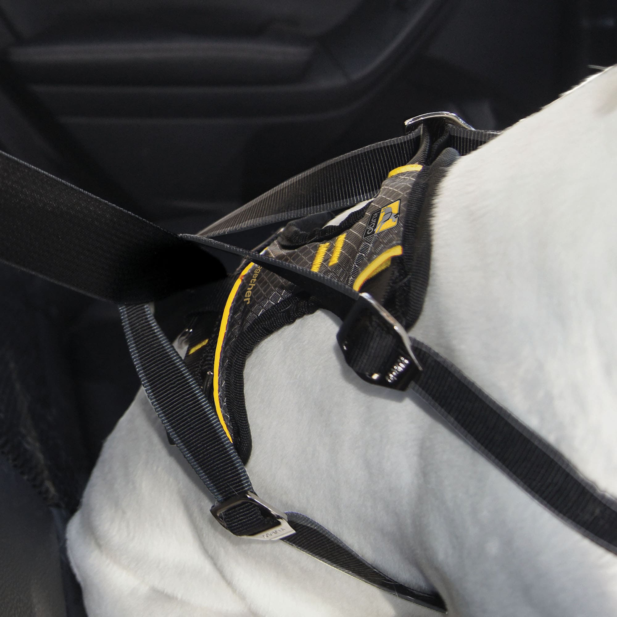 Kurgo Impact Seatbelt Automotive Harness Medium