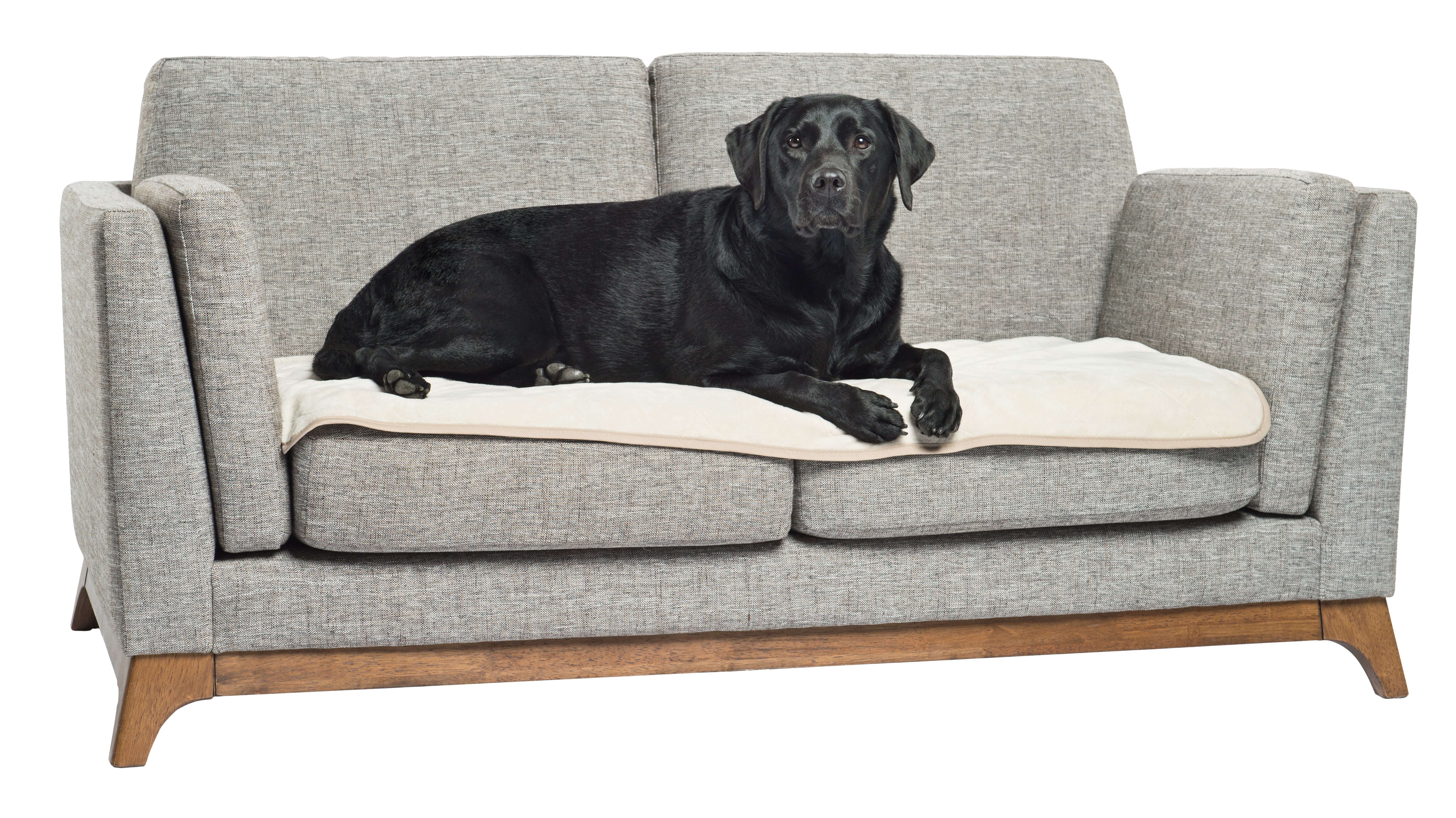 heat reflective dog bed