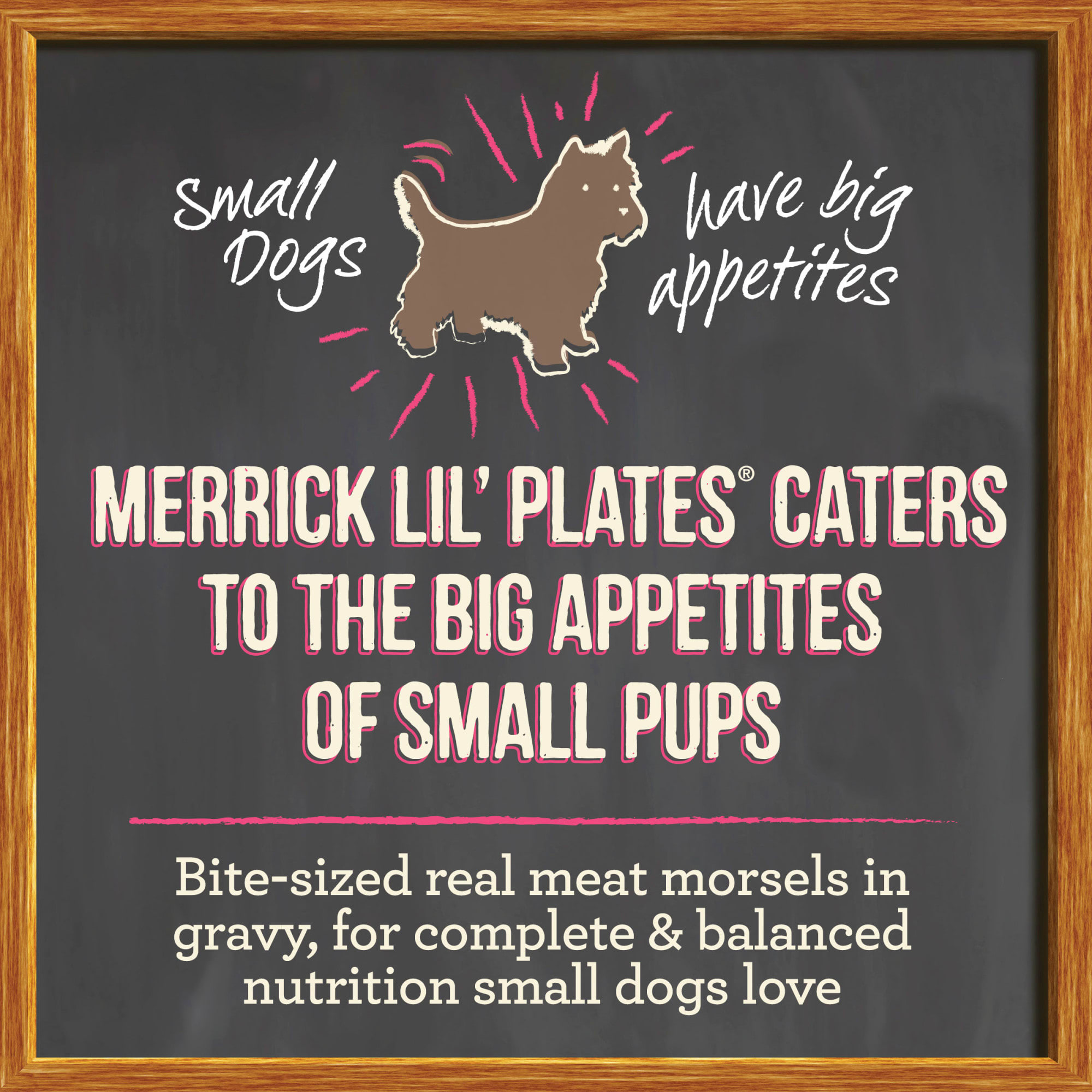 Merrick lil plates outlet recall