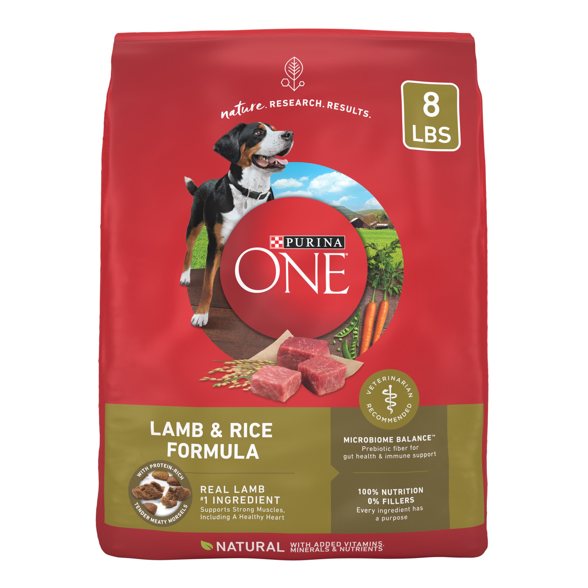 Purina ONE Lamb and Rice Formula Dry Dog Food 31.1 lbs. Petco