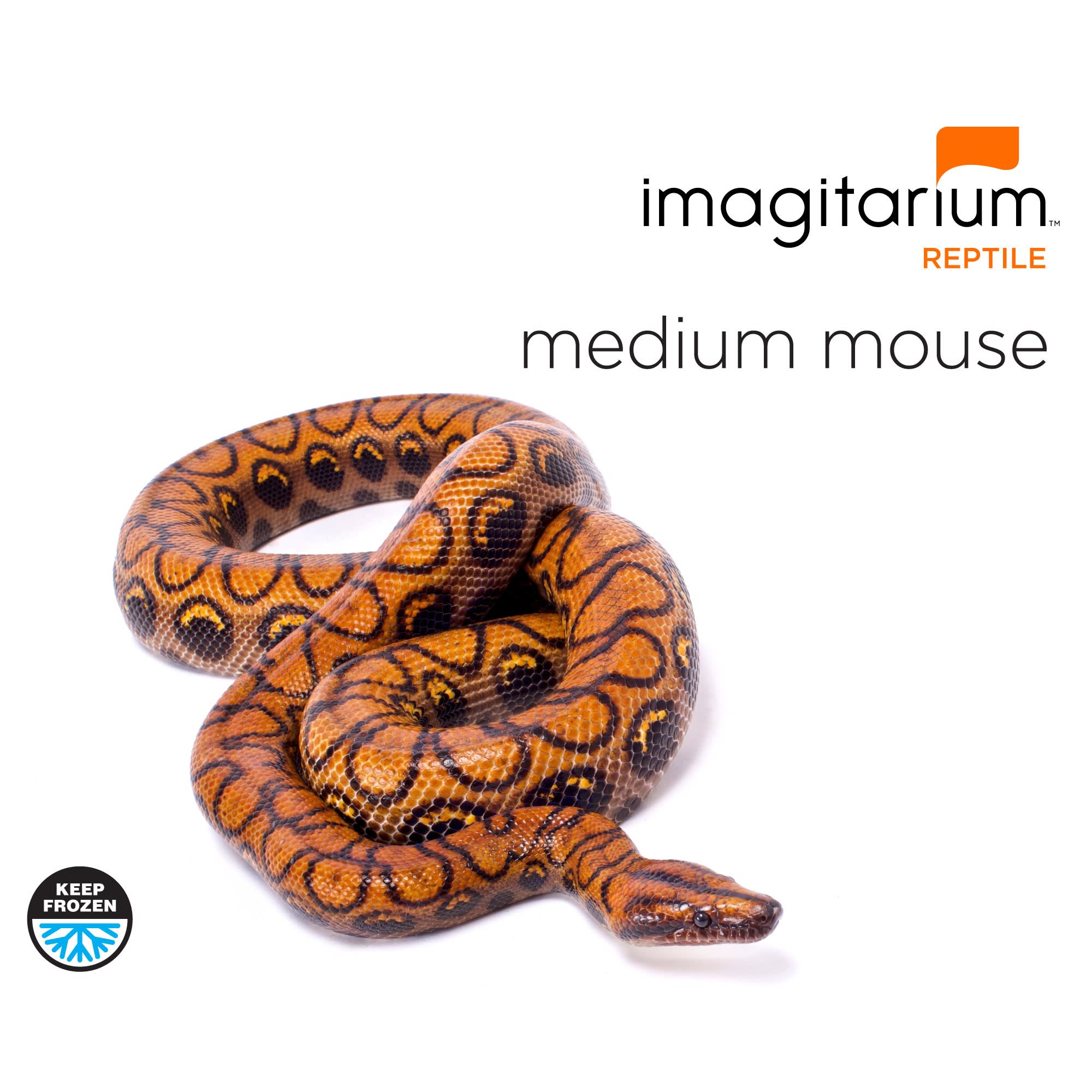 Frozen Medium Mouse, Count of 10 Petco