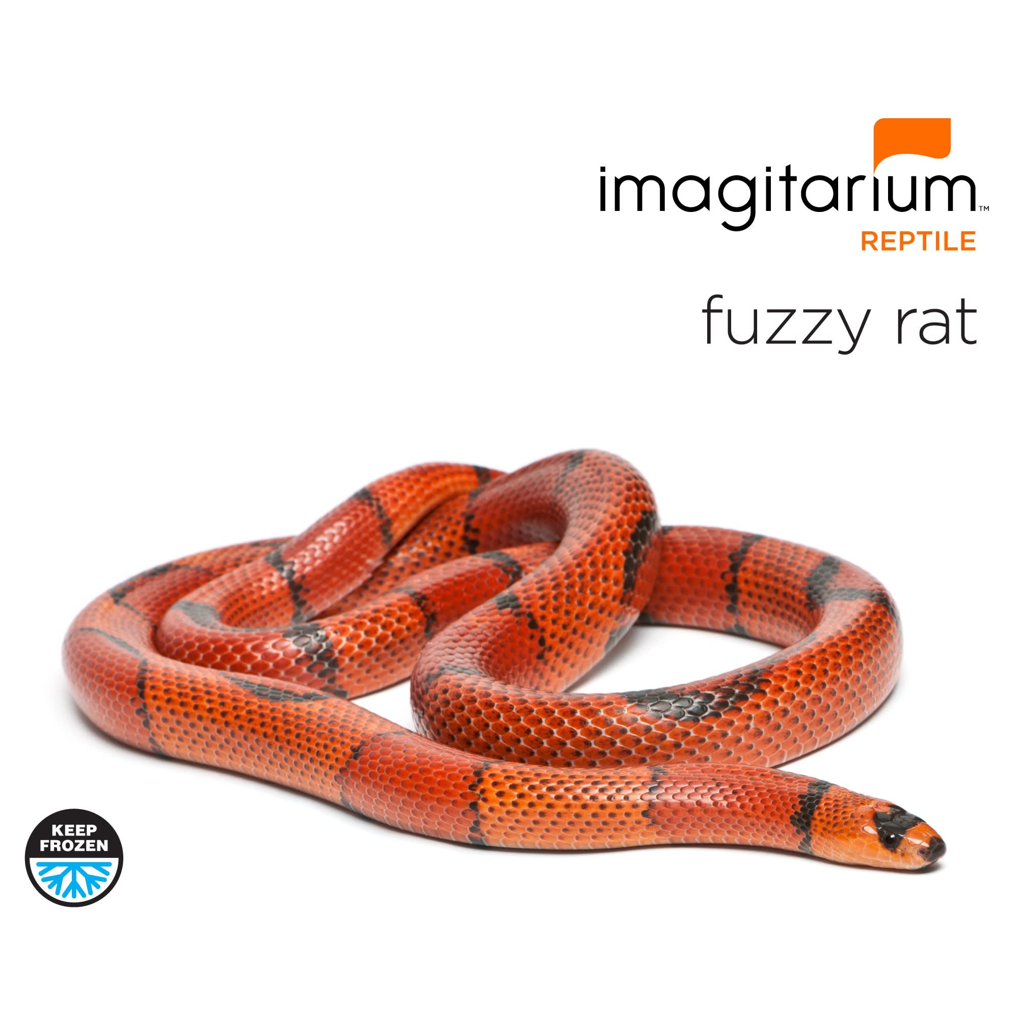 Frozen Fuzzy Rat, Count of 10 | Petco