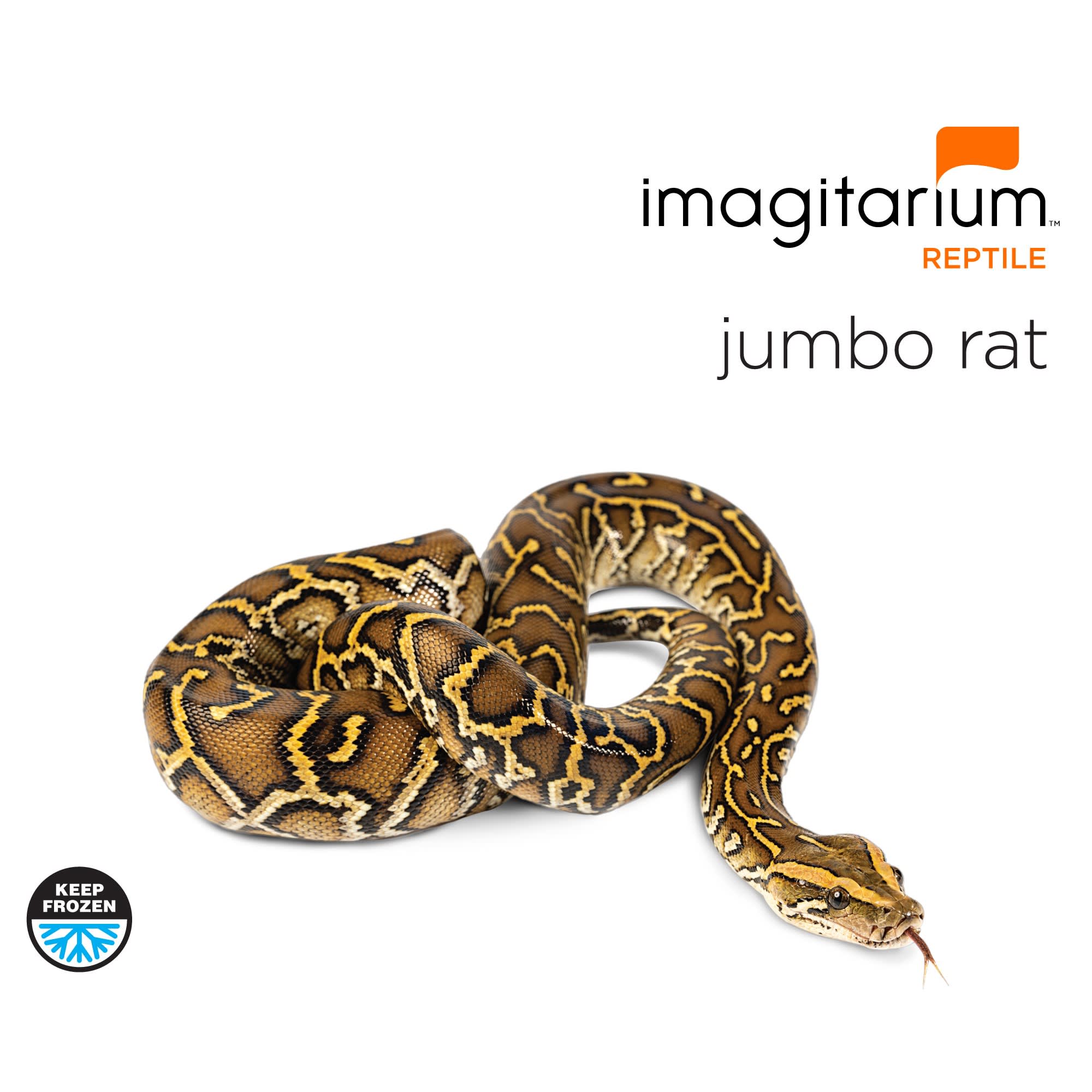 Frozen XL (Jumbo) Rat, Count of 6 Petco