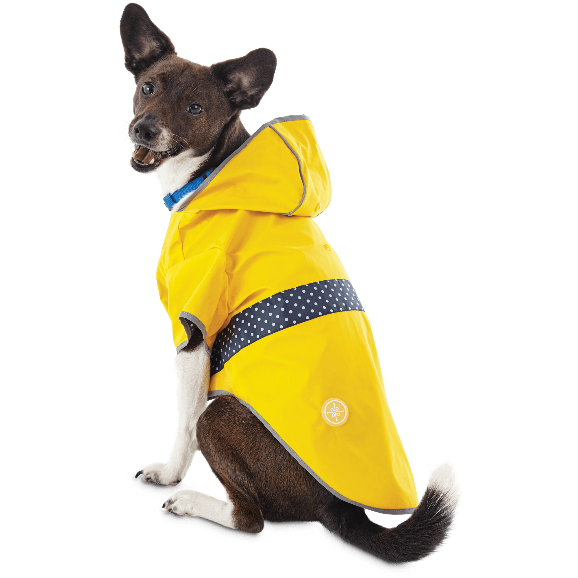 Good2Go Reversible Dog Raincoat in 