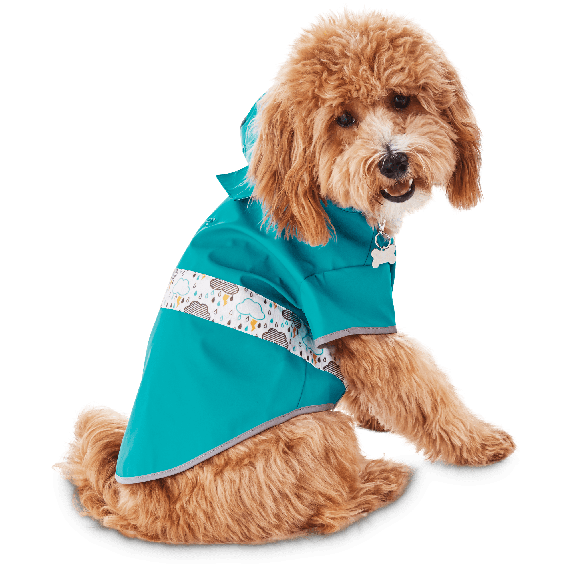 petco dog jacket