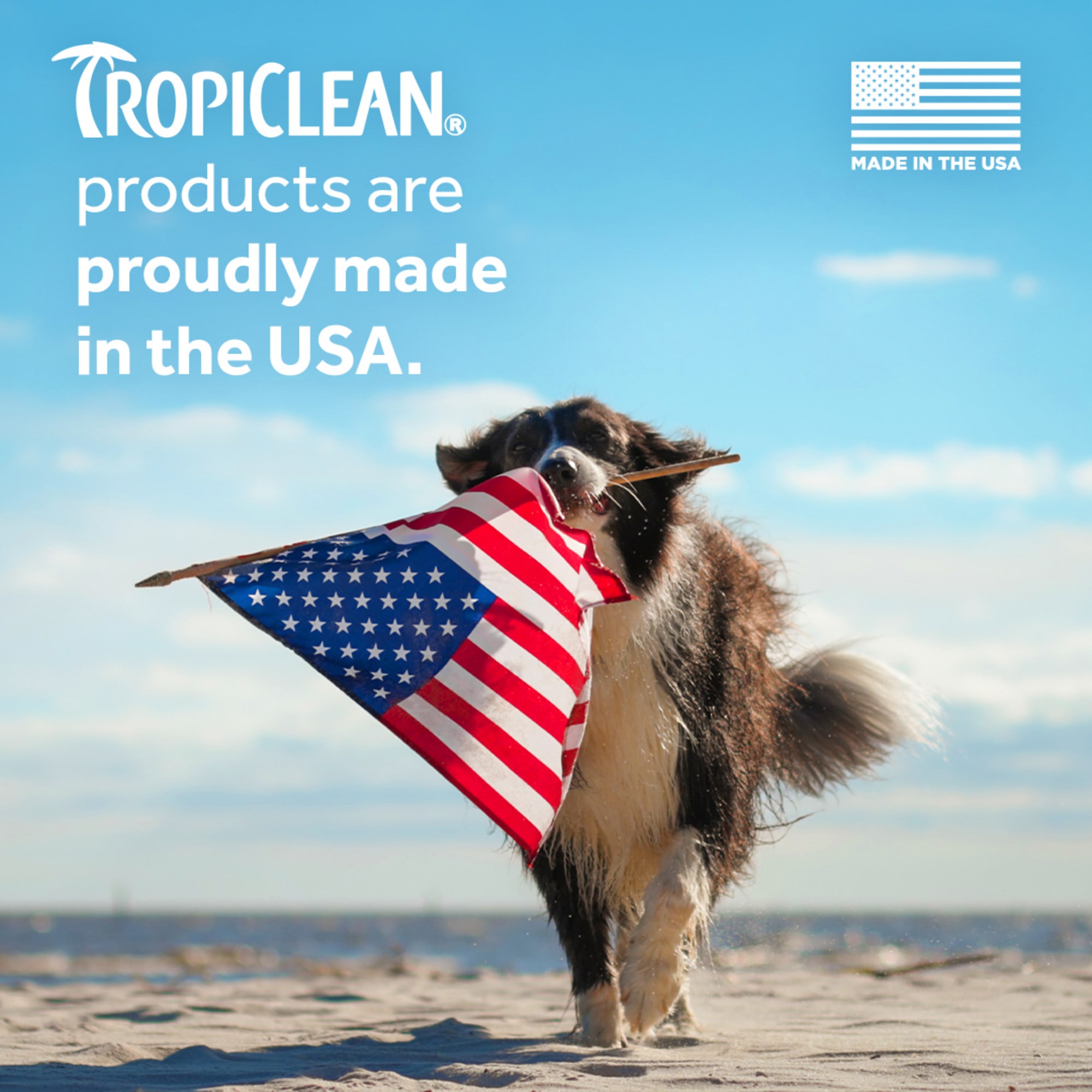 Tropiclean waterless cat outlet shampoo