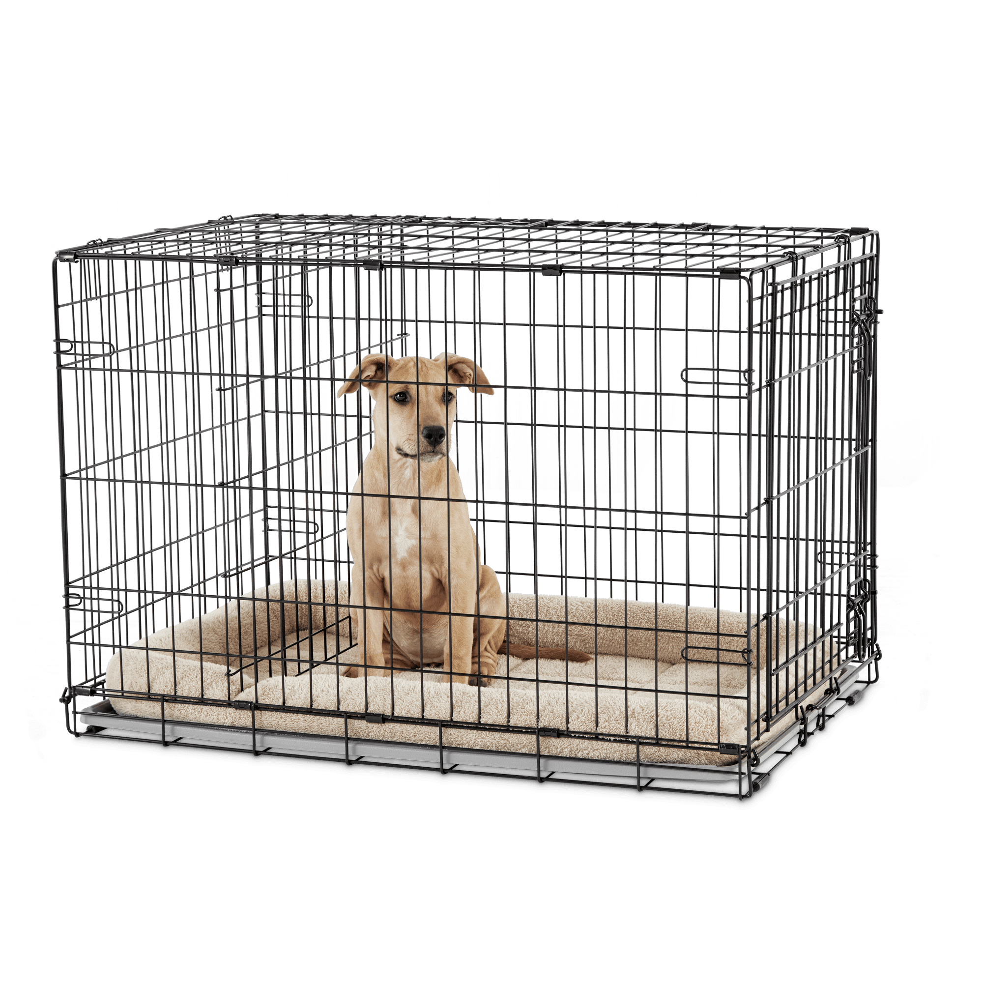 Xxl dog crate store petco